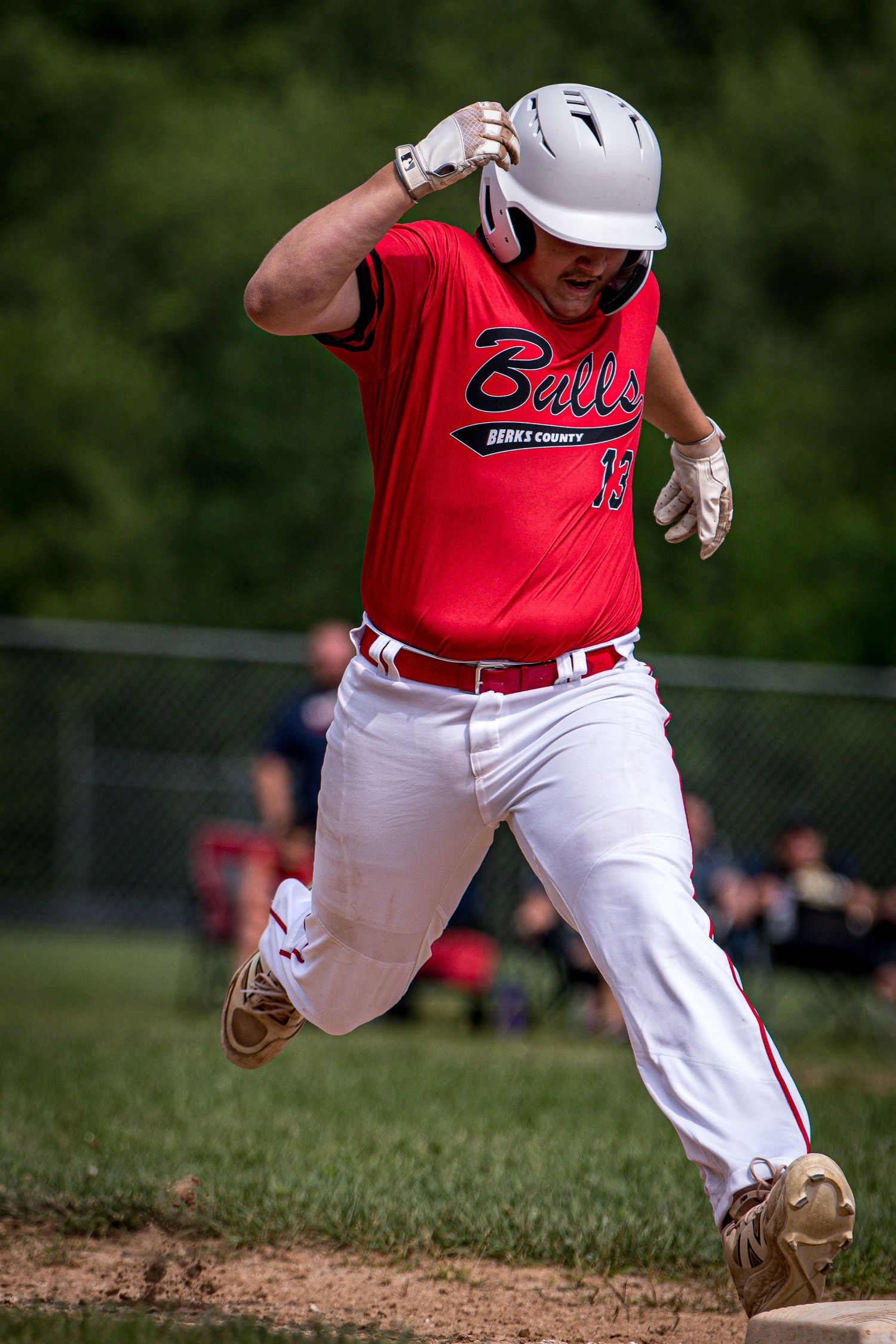 Berks Bulls, Berks PA
