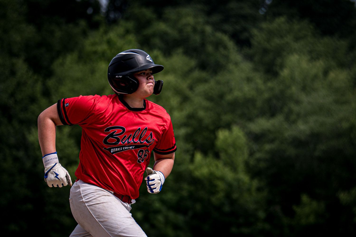 Berks Bulls, Berks PA