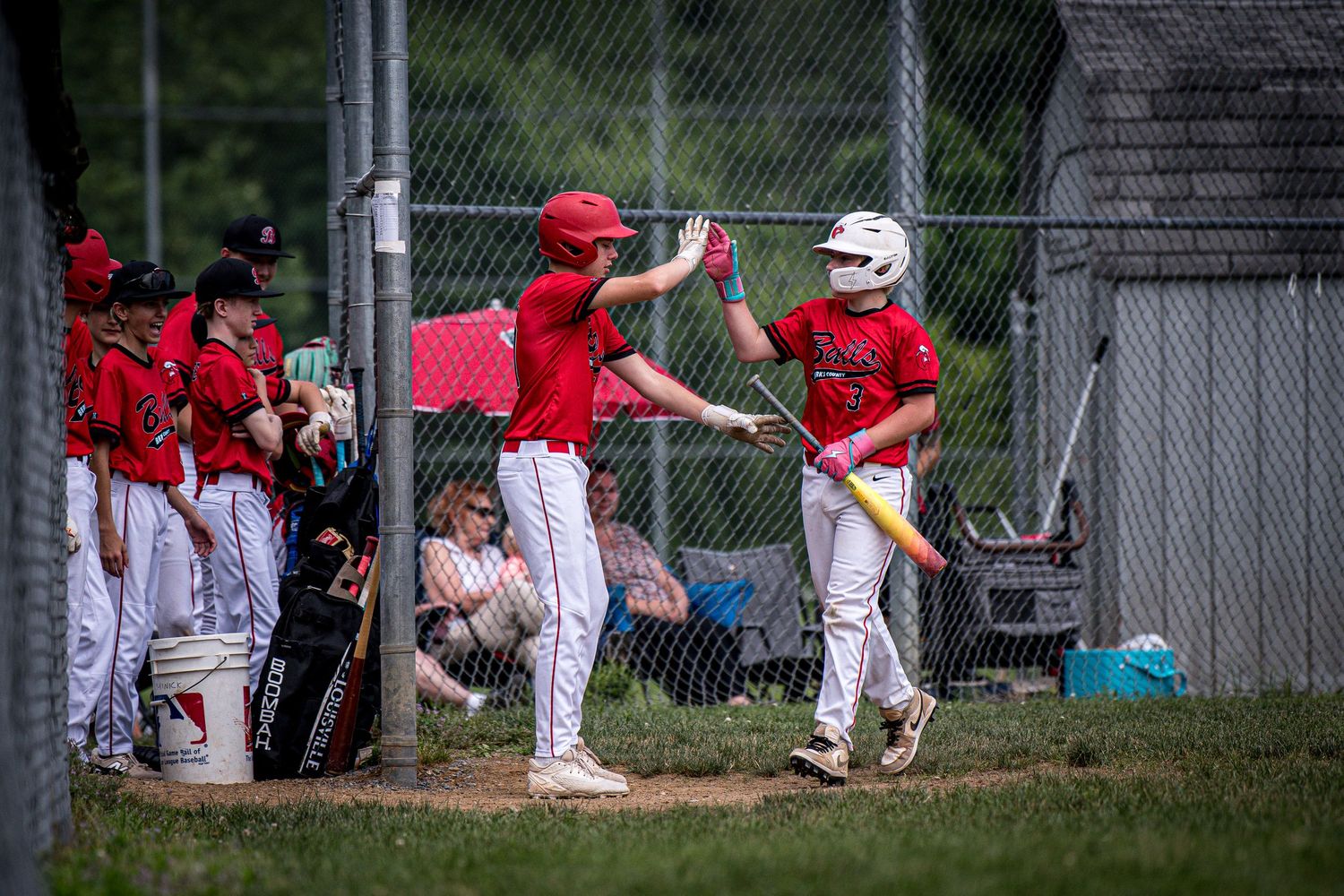 Berks Bulls, Berks PA