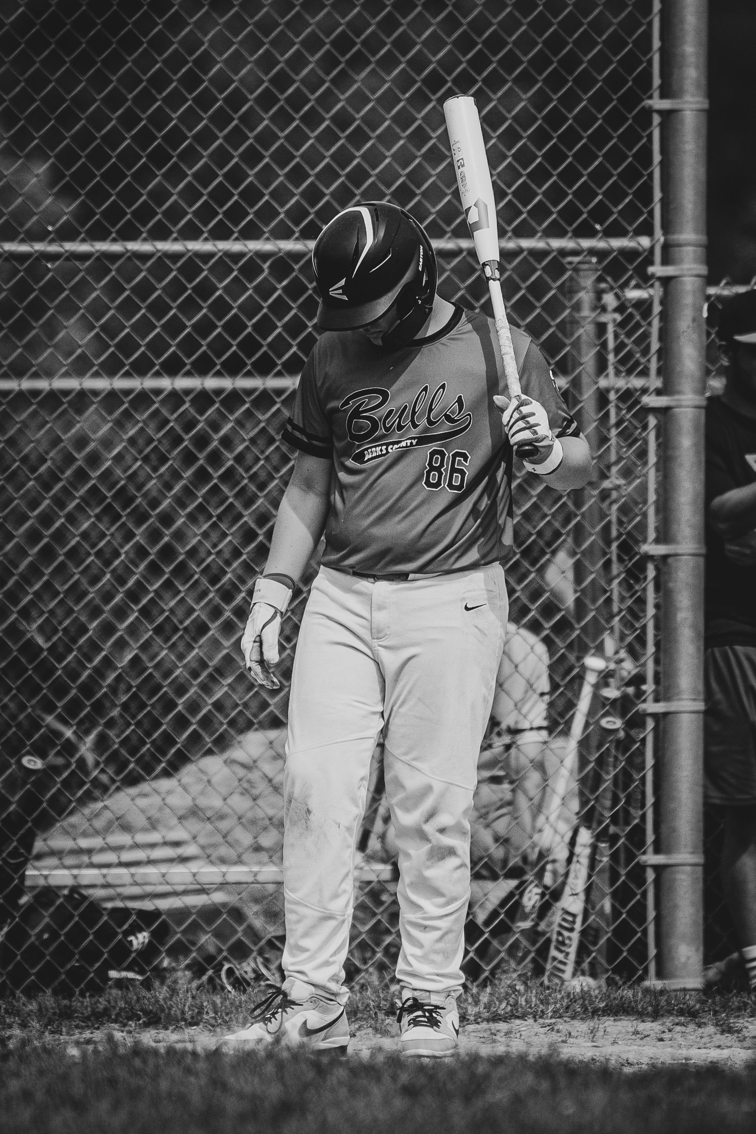 Berks Bulls, Berks PA