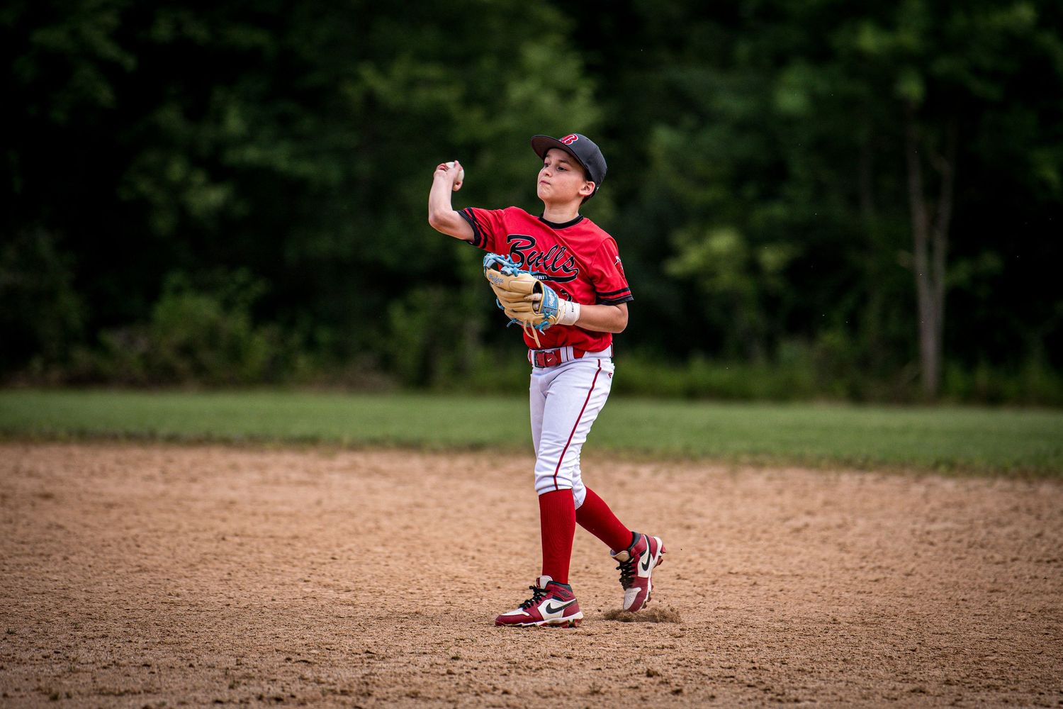 Berks Bulls, Berks PA