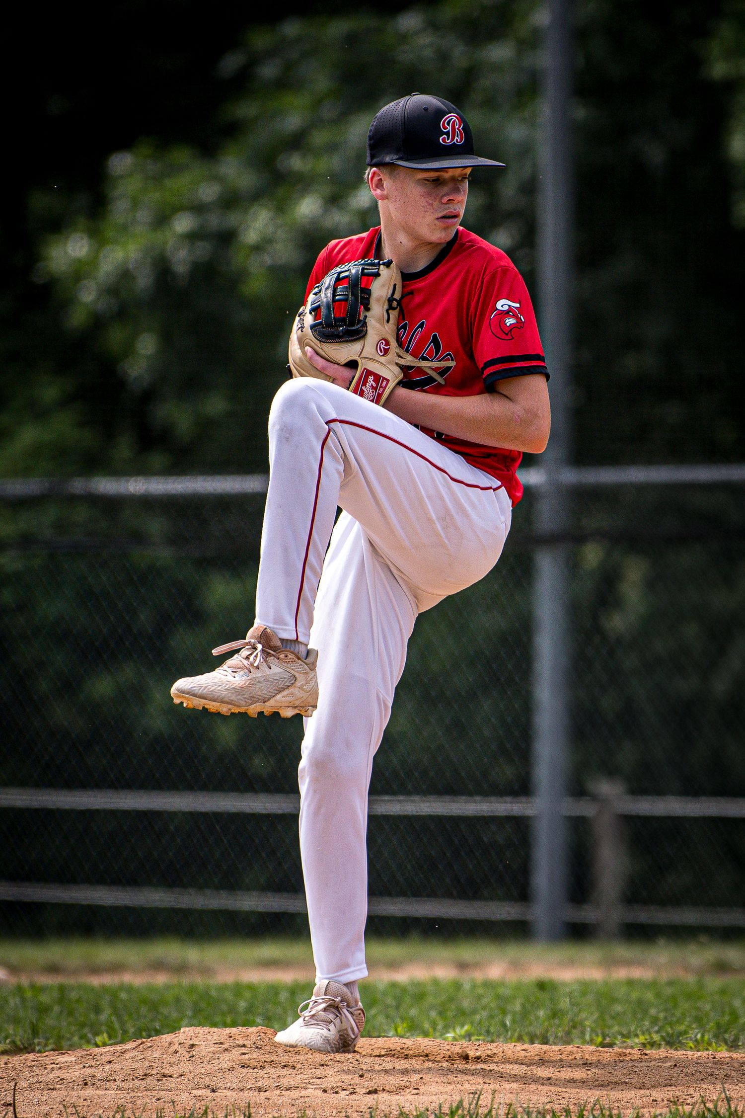 Berks Bulls, Berks PA