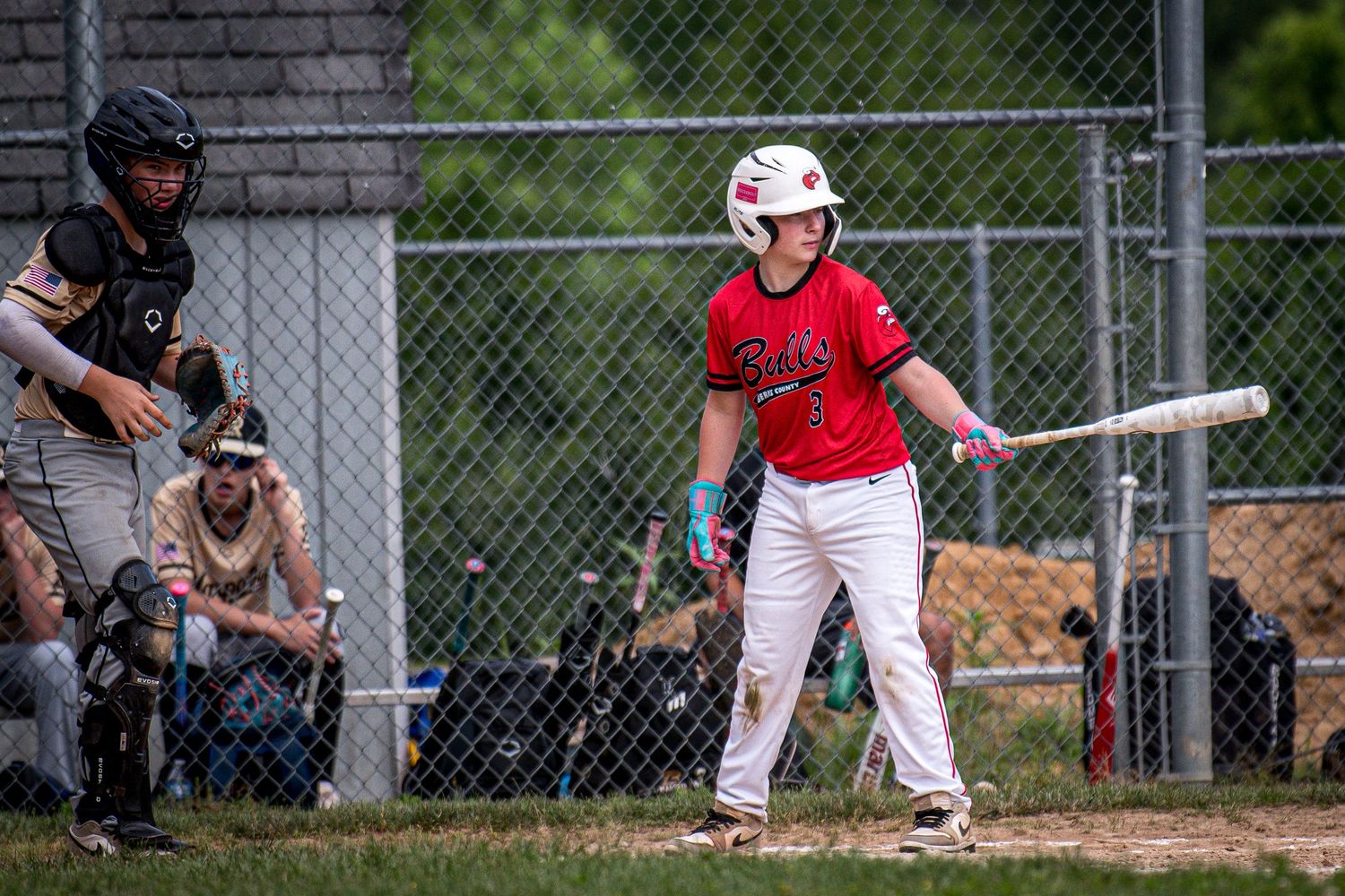 Berks Bulls, Berks PA