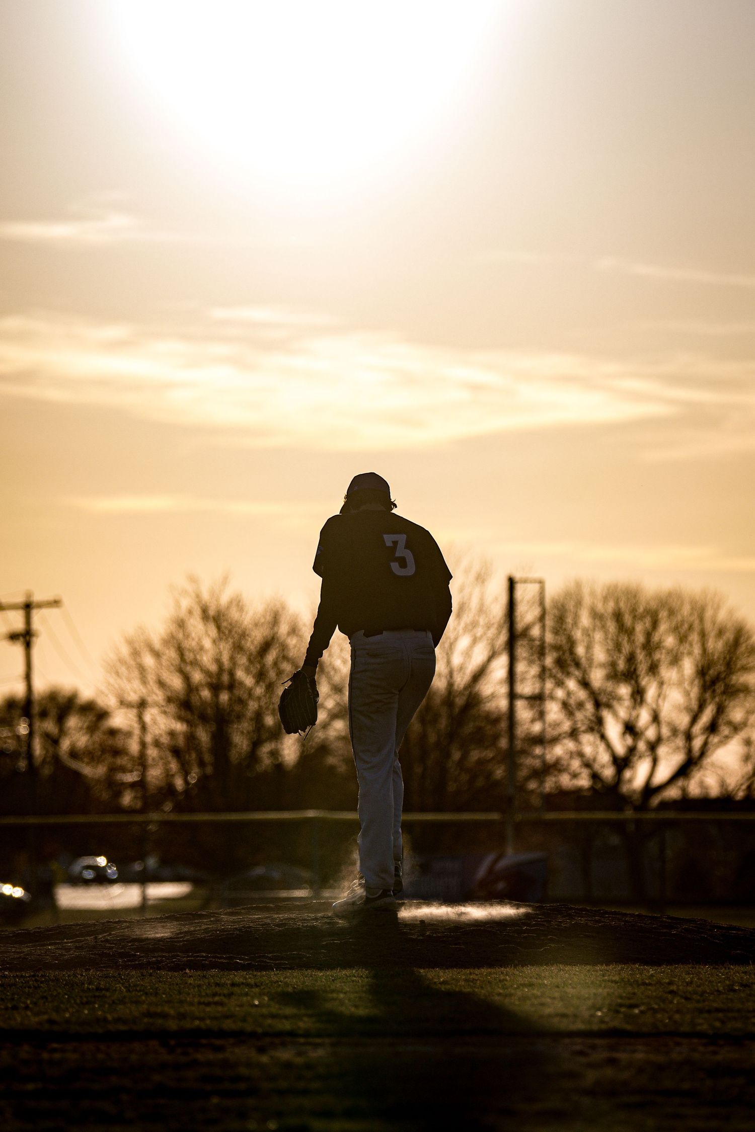 Baseball Silhouette
