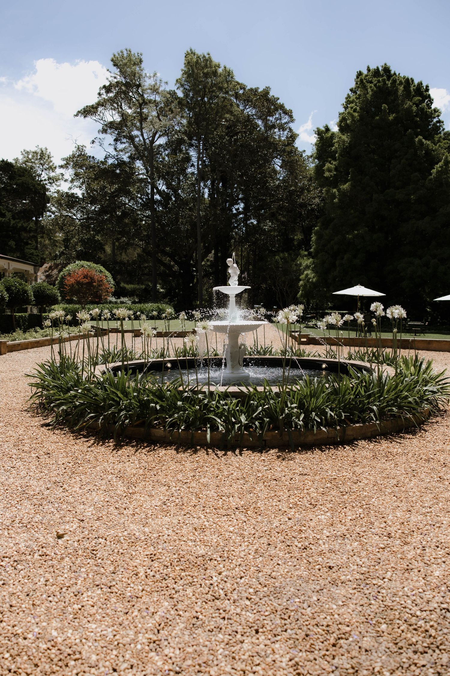 formal garden with a white fountain centerpiece surrounded by manicured hedges and gravel paths. Gabbinbar homestead Toowoomba wedding