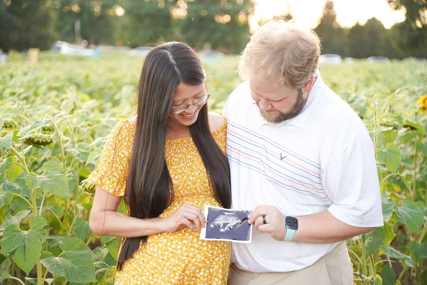 expecting couple looking at belly and sonogram in sunflower field