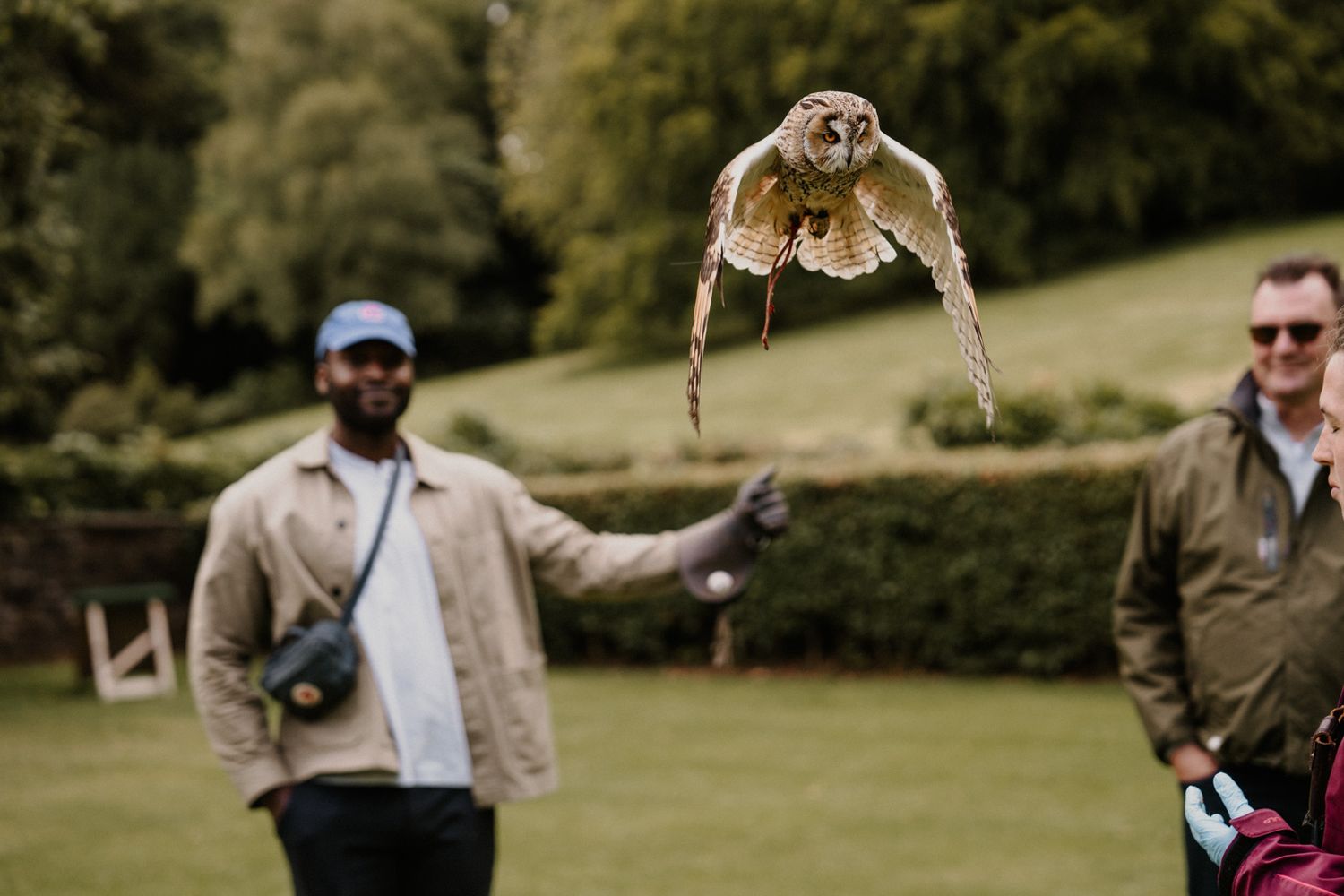 Falconry display with birds of prey during an outdoor event.