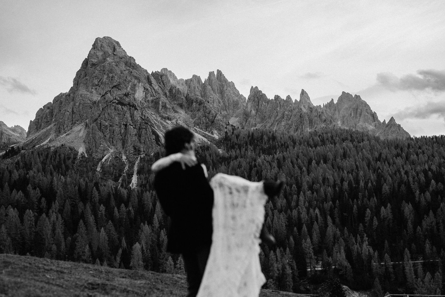 Majestic mountain peaks rise above a dense evergreen forest in a dramatic landscape setting.