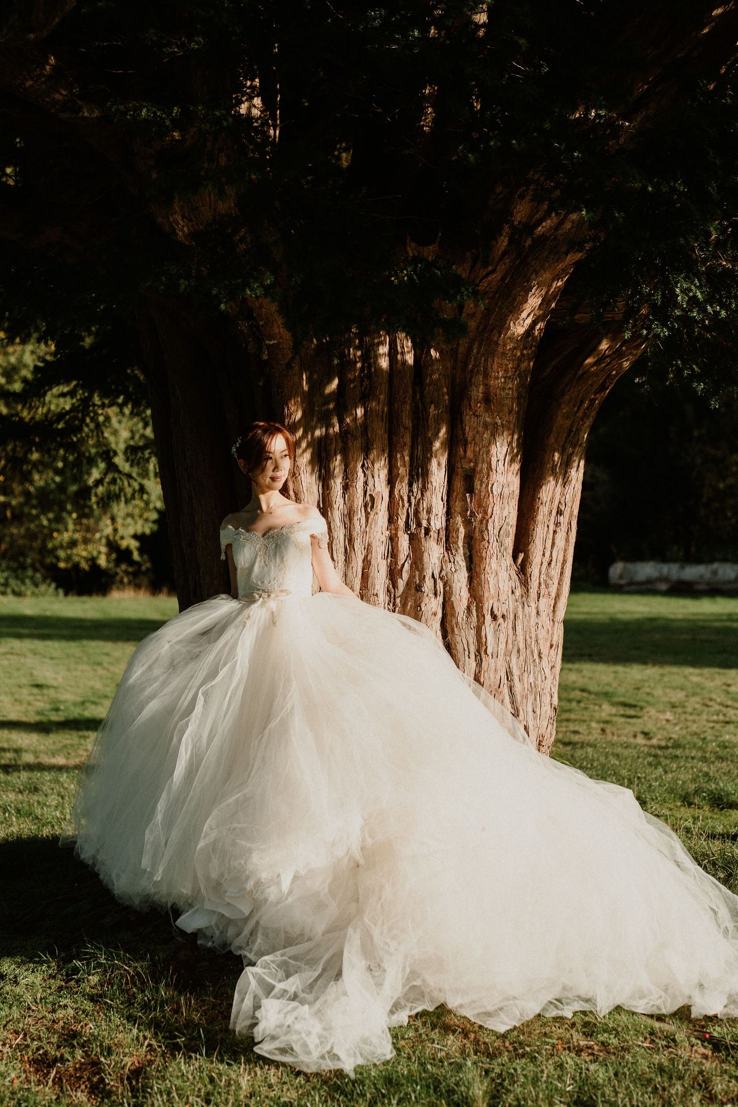 A flowing white wedding dress spreads across grass near tall tree trunks.