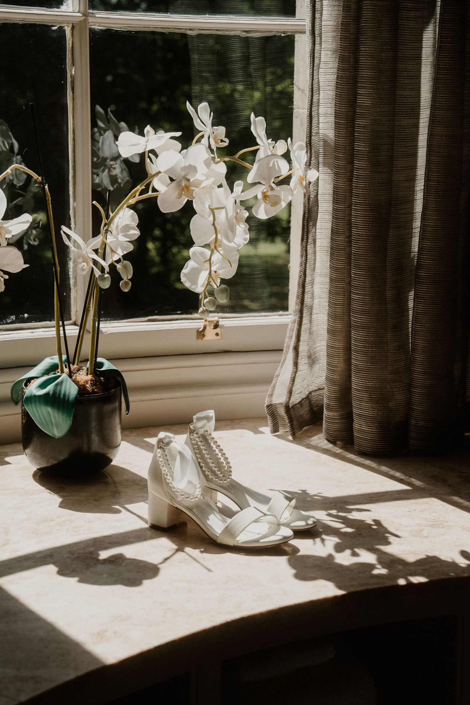 White orchids on a windowsill with soft natural lighting and shadows.
