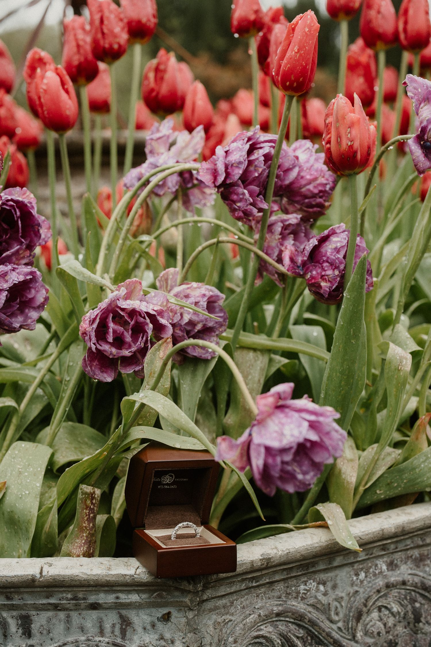 Vibrant red tulips and purple flowers blooming in a stone garden planter.