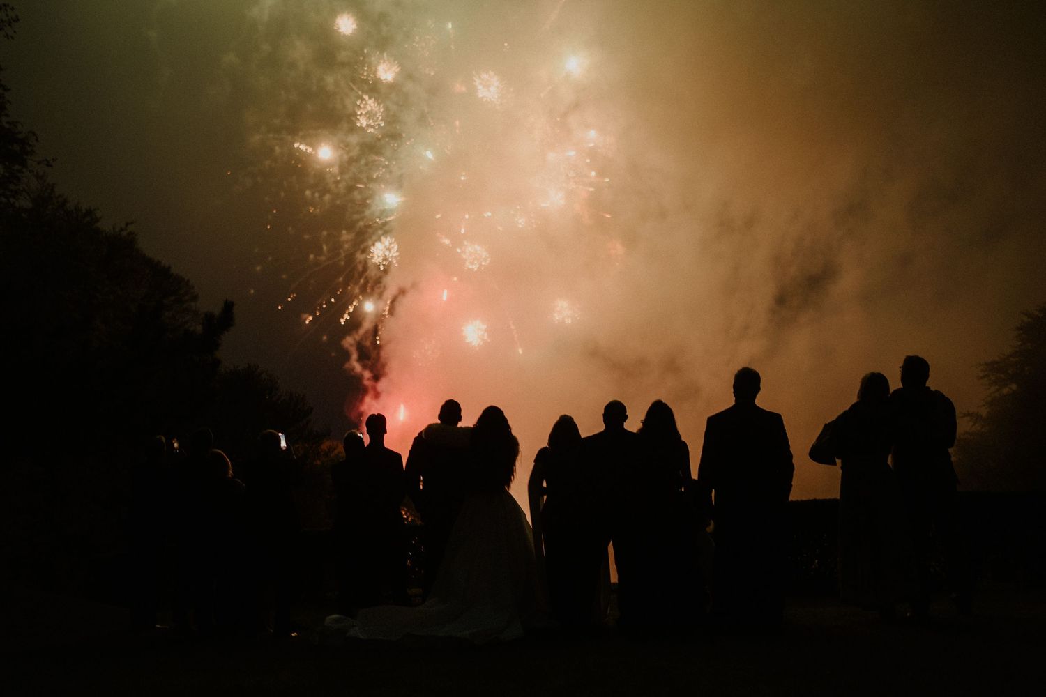 Silhouettes of people watching fireworks display against dark sky.