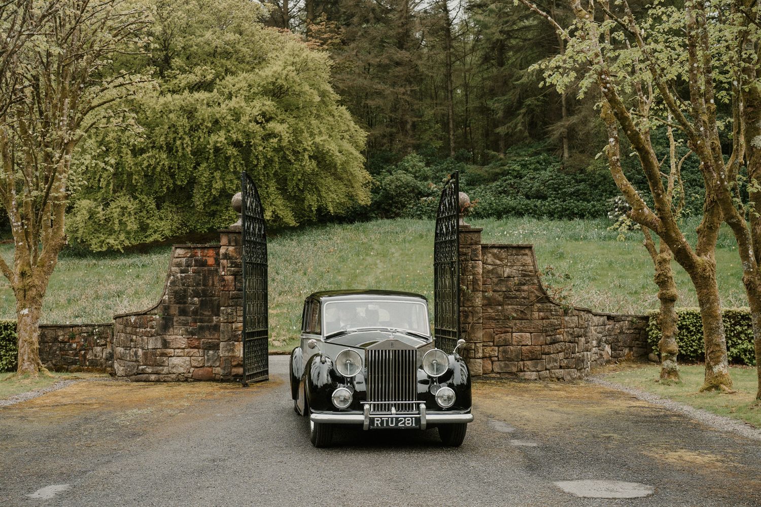 Classic vintage cars parked along tree-lined stone wall at wedding venue.