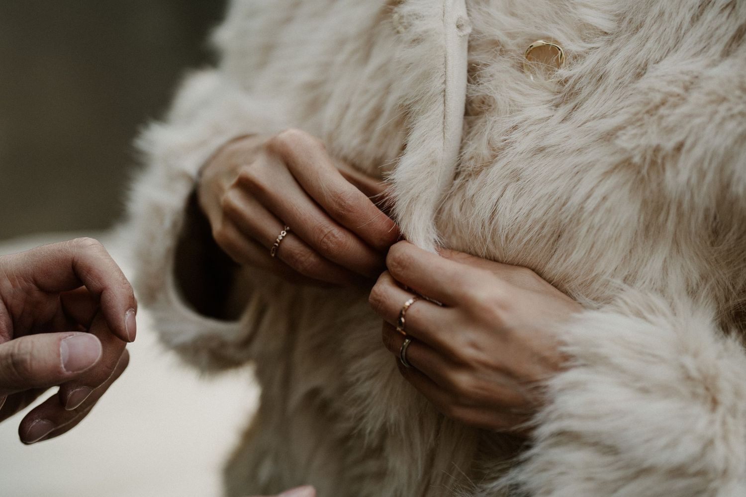 Close up detail of hands gently holding white fur.