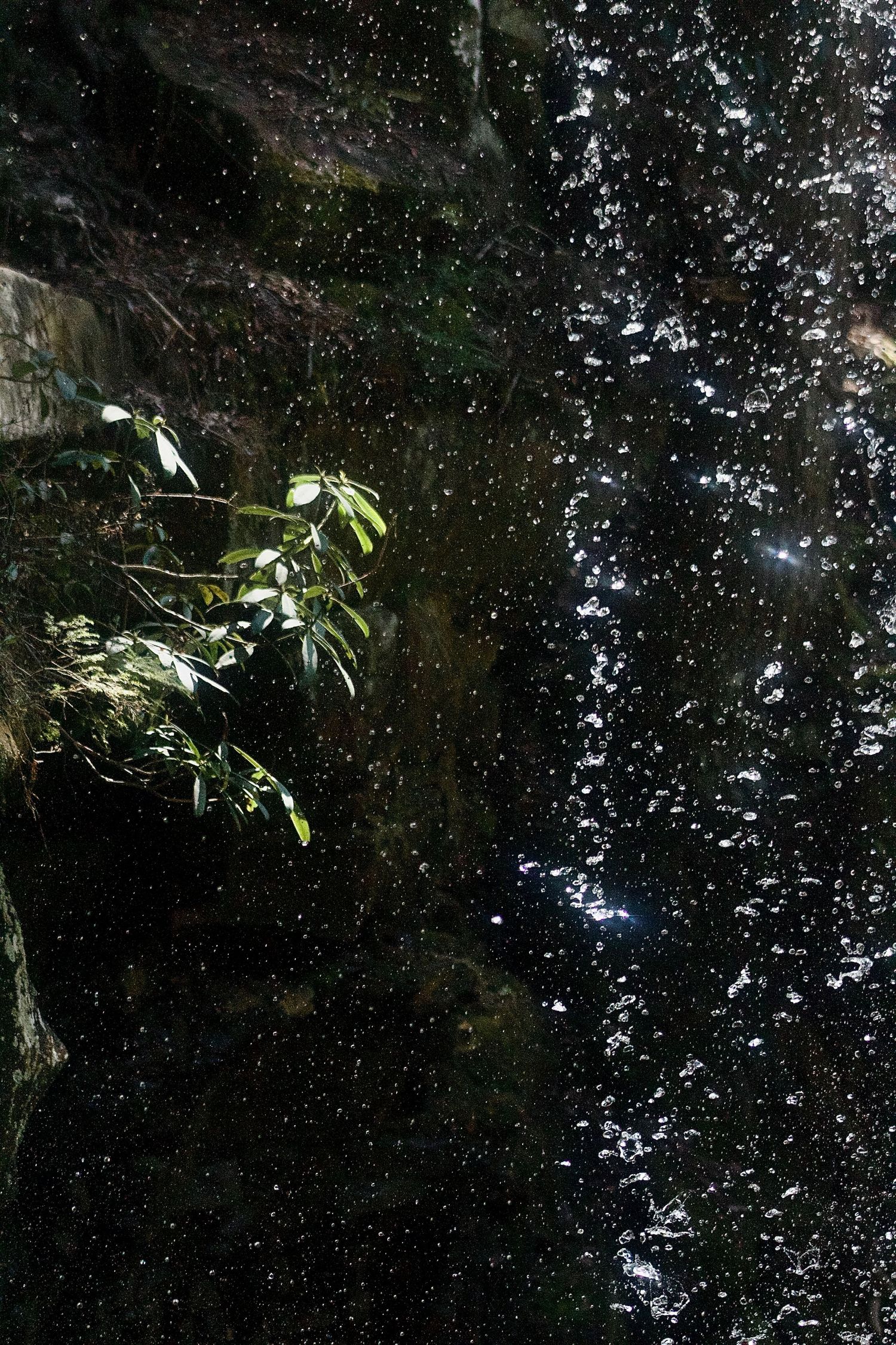 Cover photo