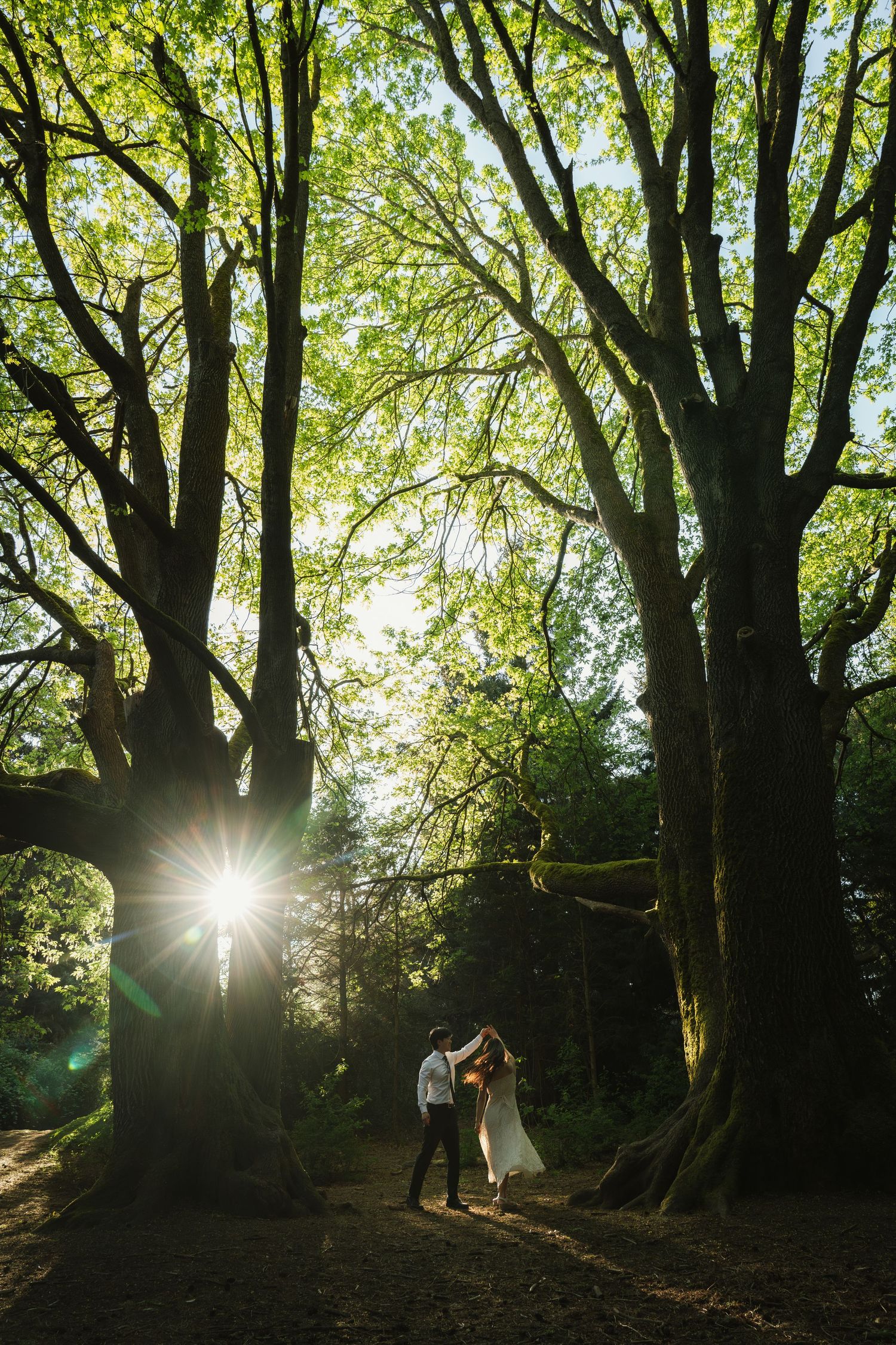 Couple kissing in a sunlit forest with tall trees and a starburst light effect.