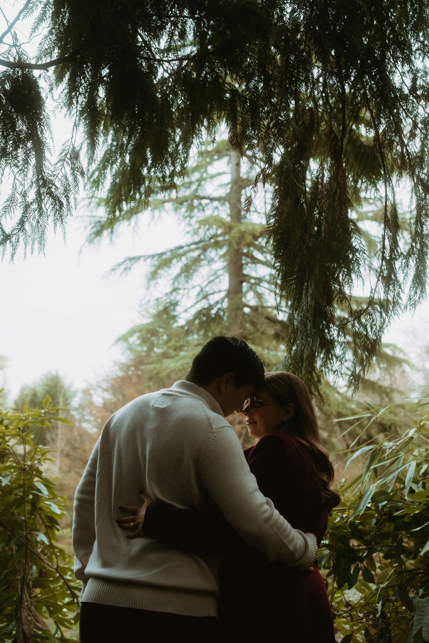Couple sharing a romantic moment under evergreen trees in a lush garden setting.