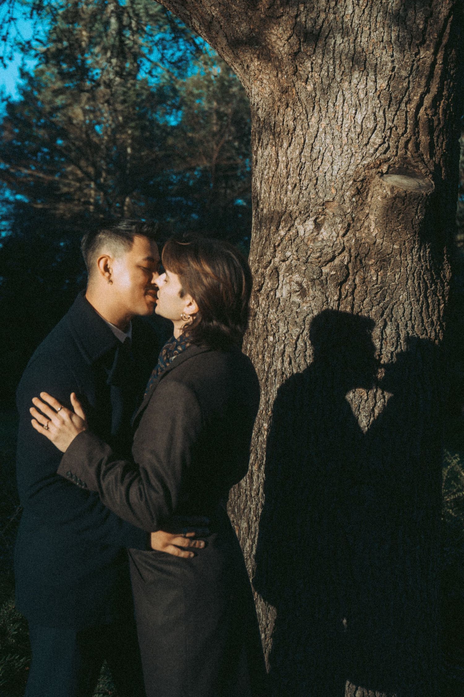 Romantic couple embracing and almost kissing against a large tree trunk with their shadow cast behind them.