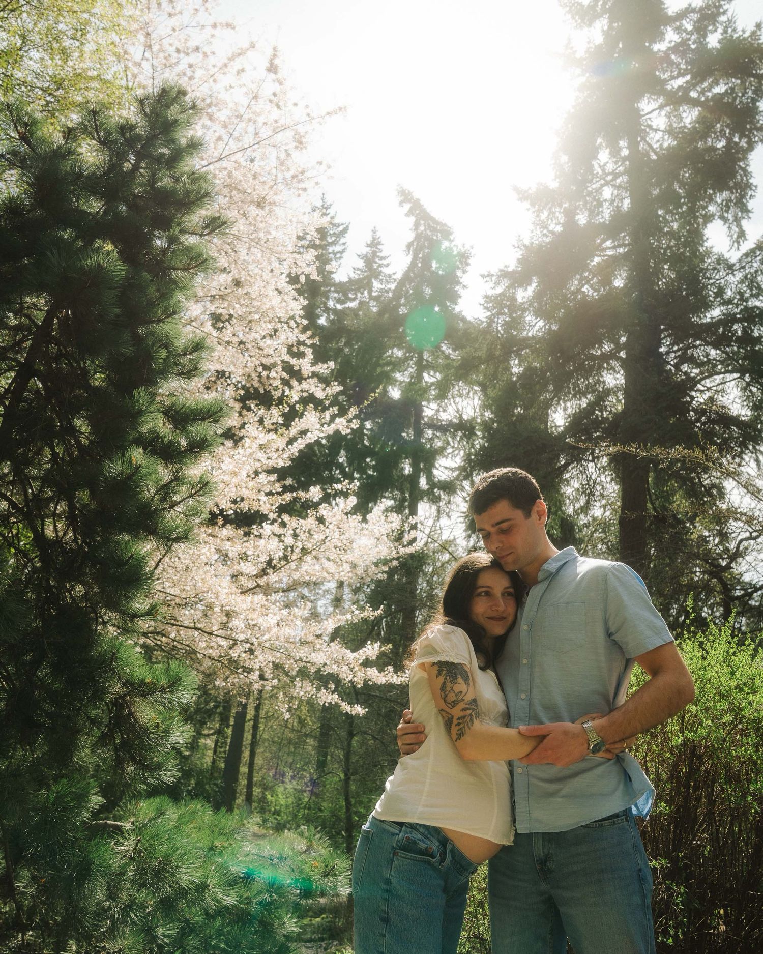 A couple embraces tenderly in a sunlit forest with blooming white cherry trees and tall evergreens in the background.