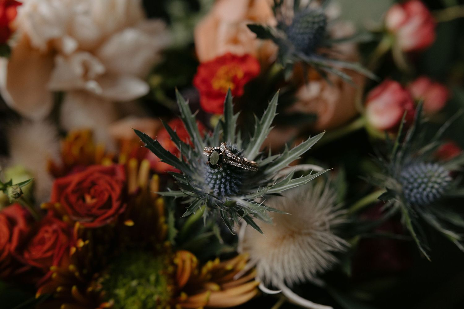 Artistic floral arrangement featuring red roses and blue thistle flowers.