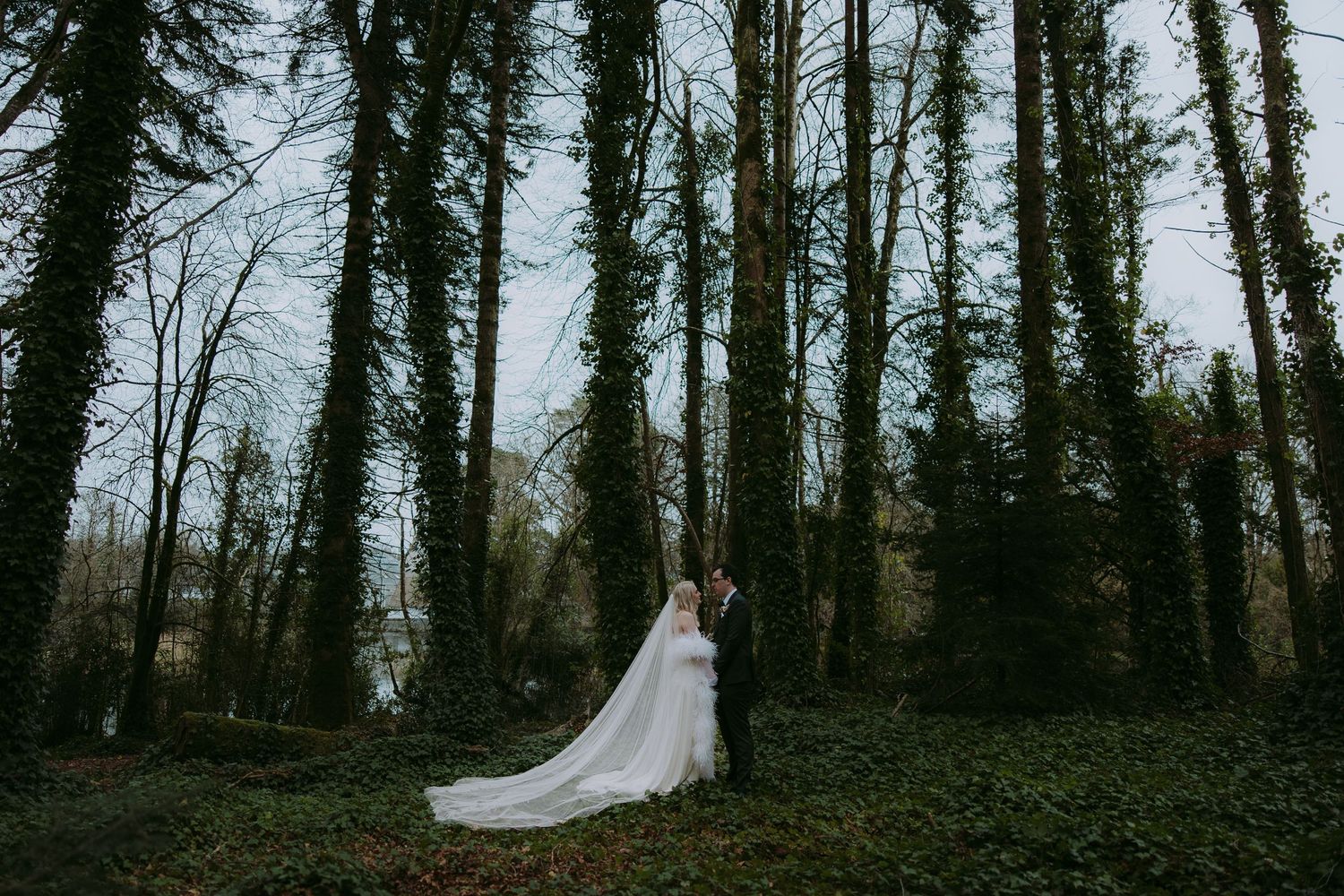 A flowing white dress contrasts against a moody forest backdrop.