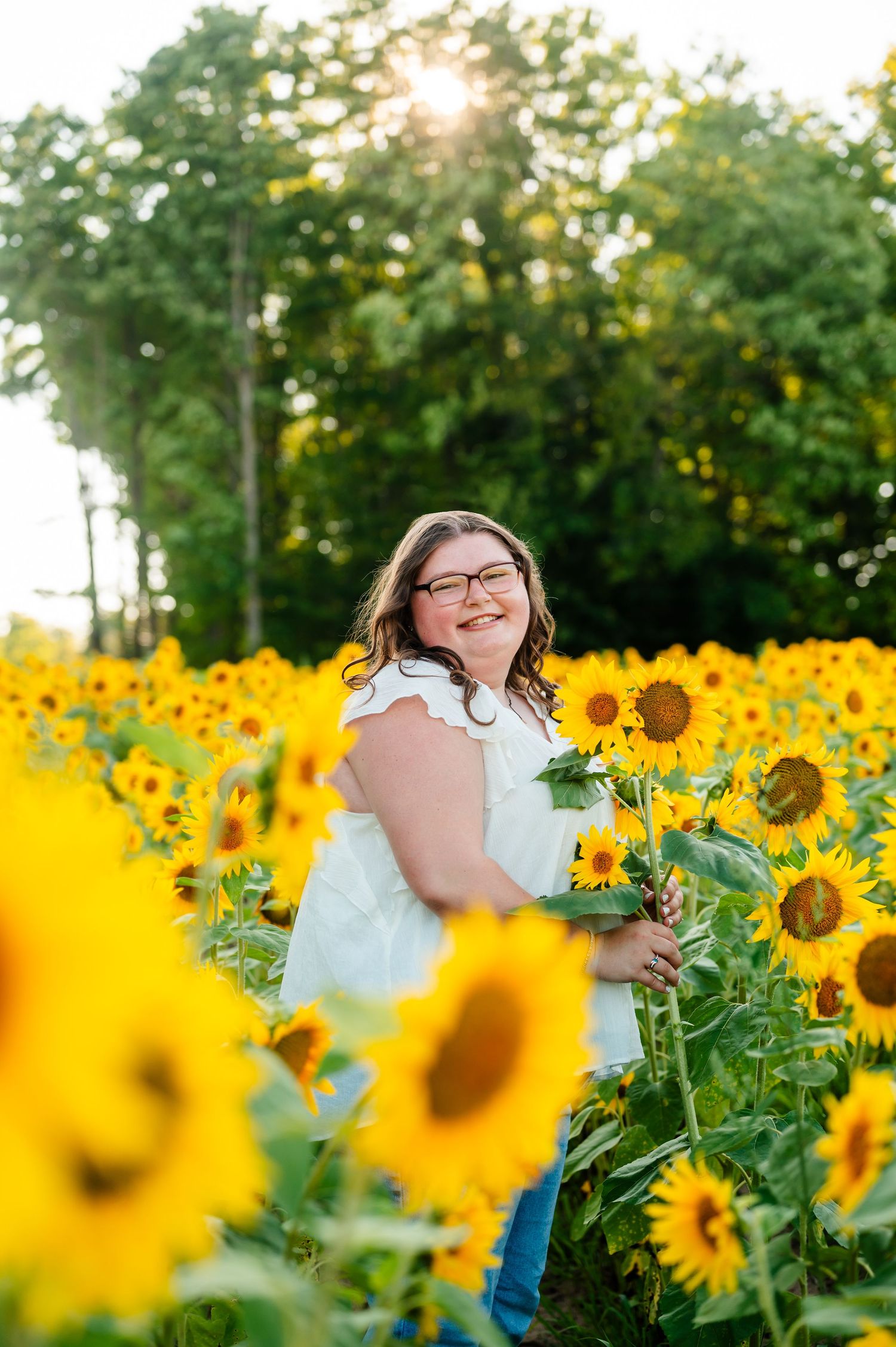 Beautiful sunflower field with vibrant yellow blooms during golden hour.