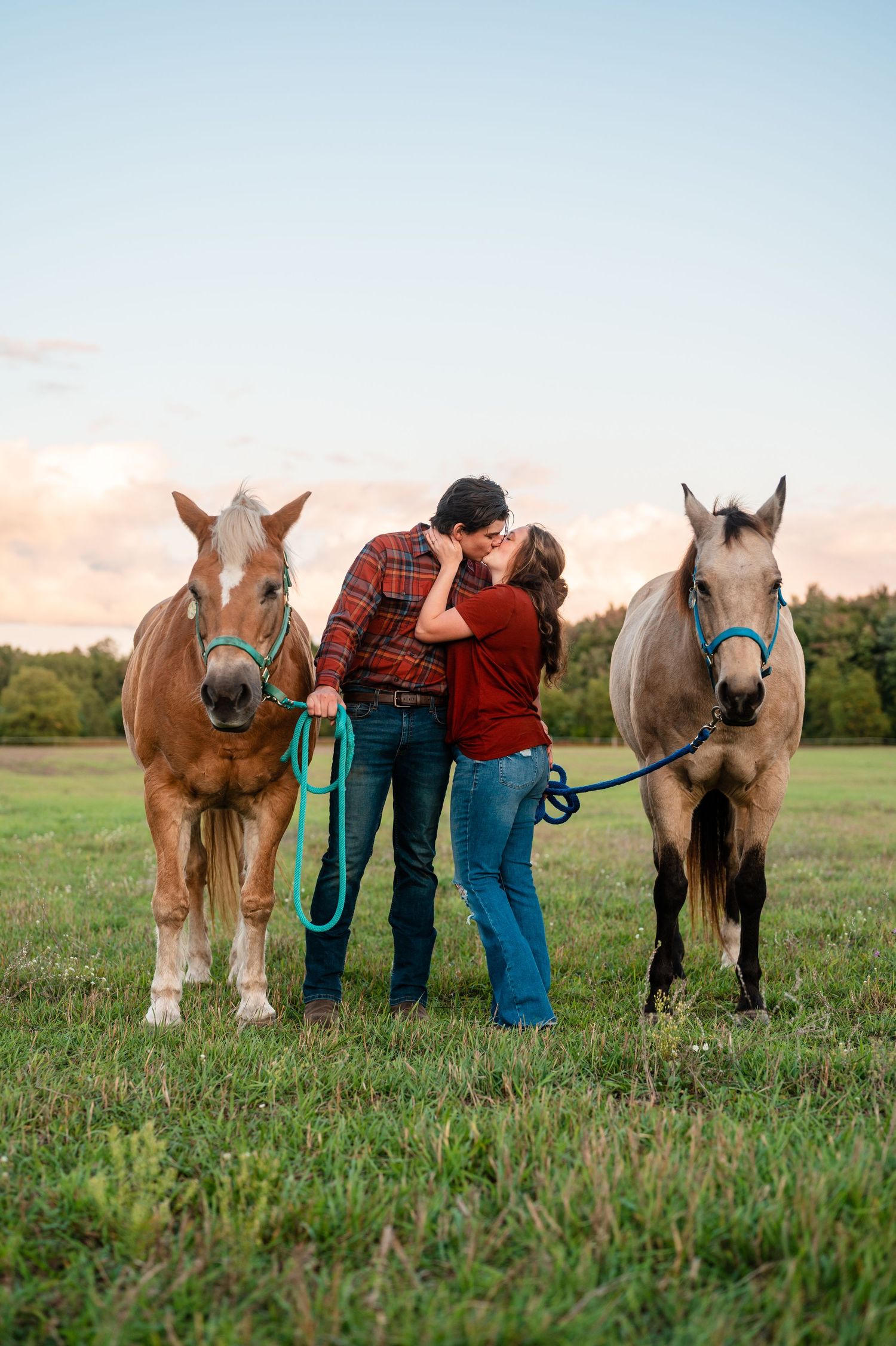 Beautiful palomino horses stand with couple in green meadow at sunset.