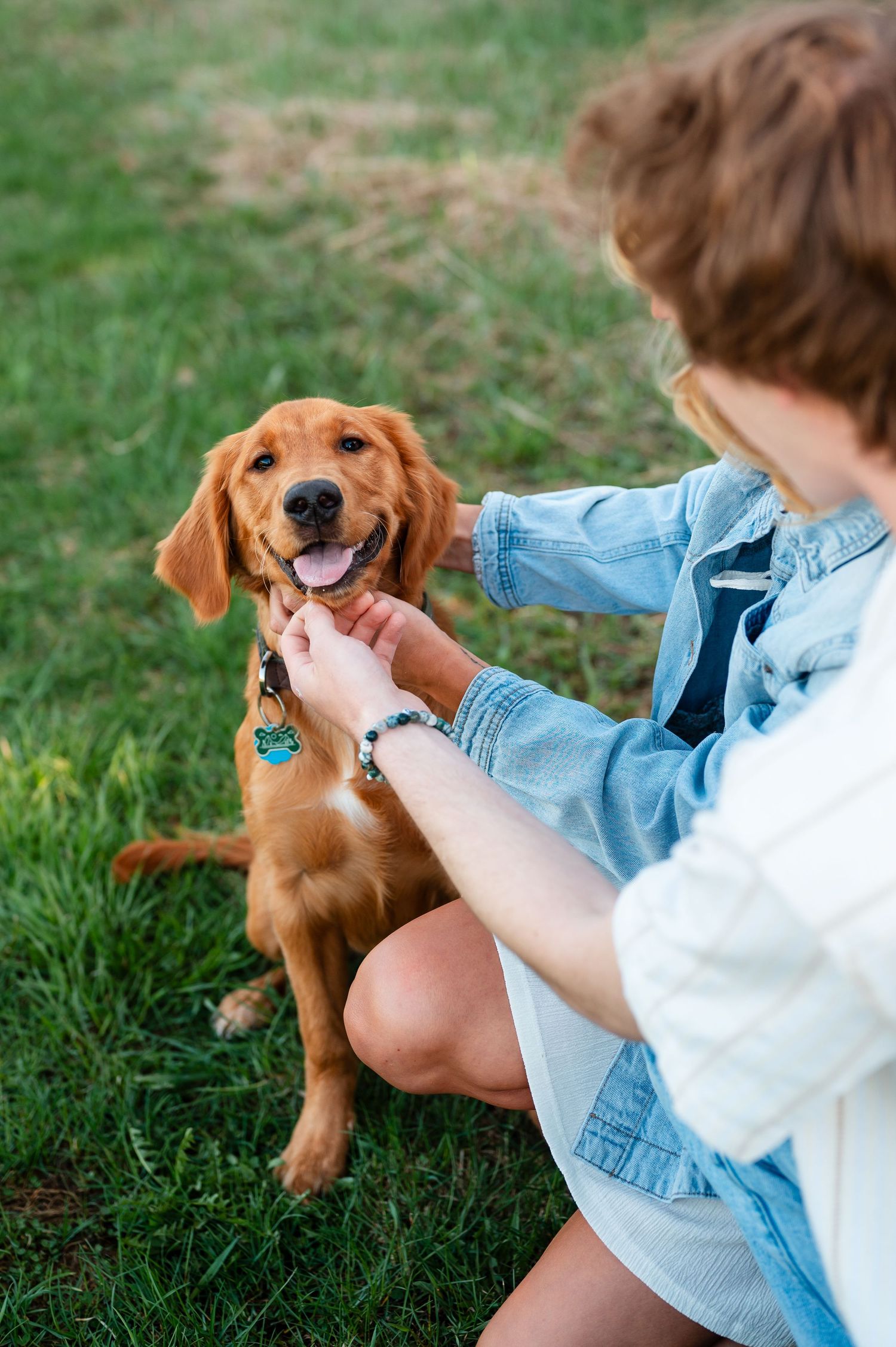 Golden retriever puppy playing outdoors on grass with someone in denim and white clothing.