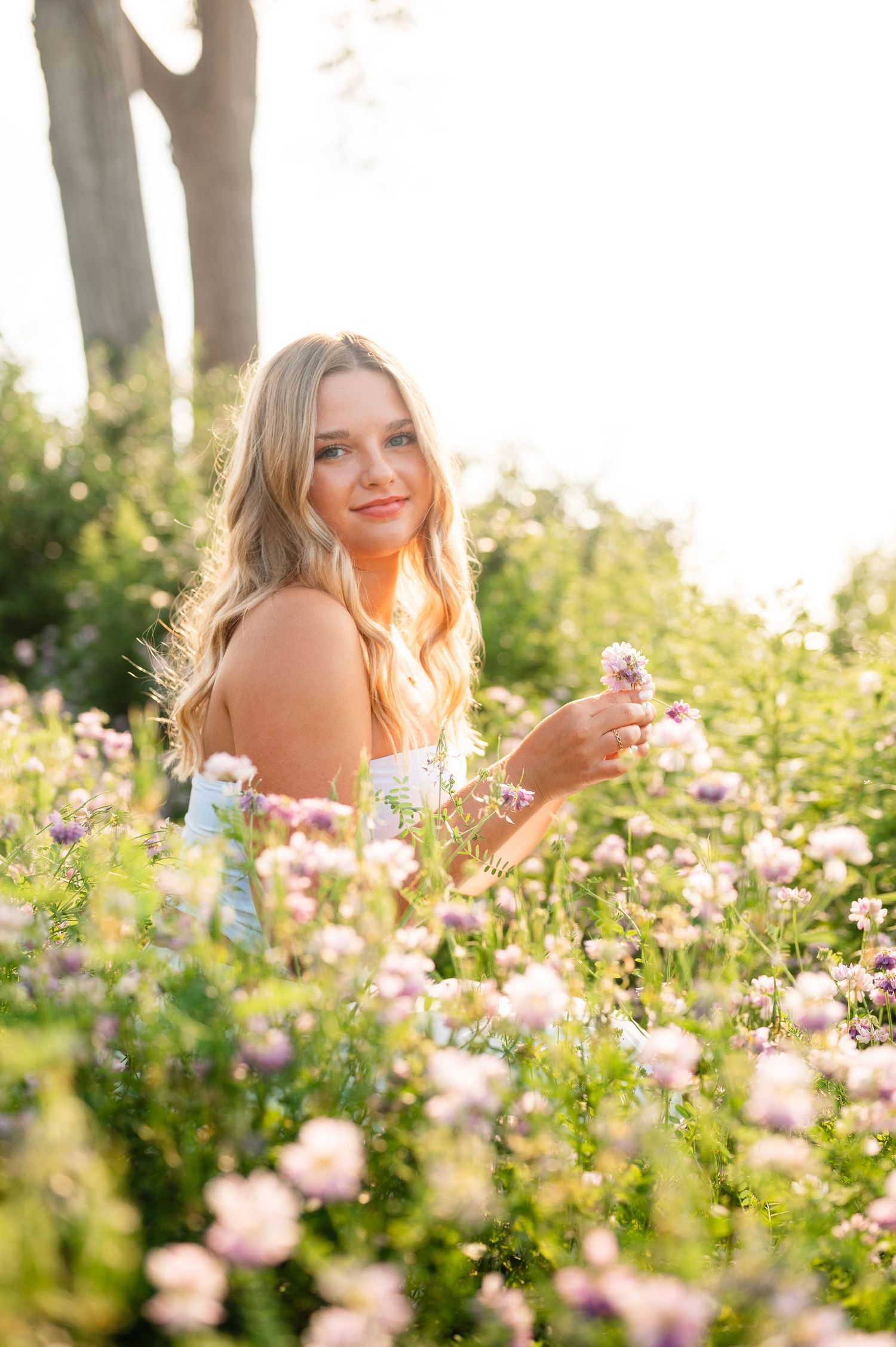 Dreamy floral setting with pink flowers blooming in soft evening light.