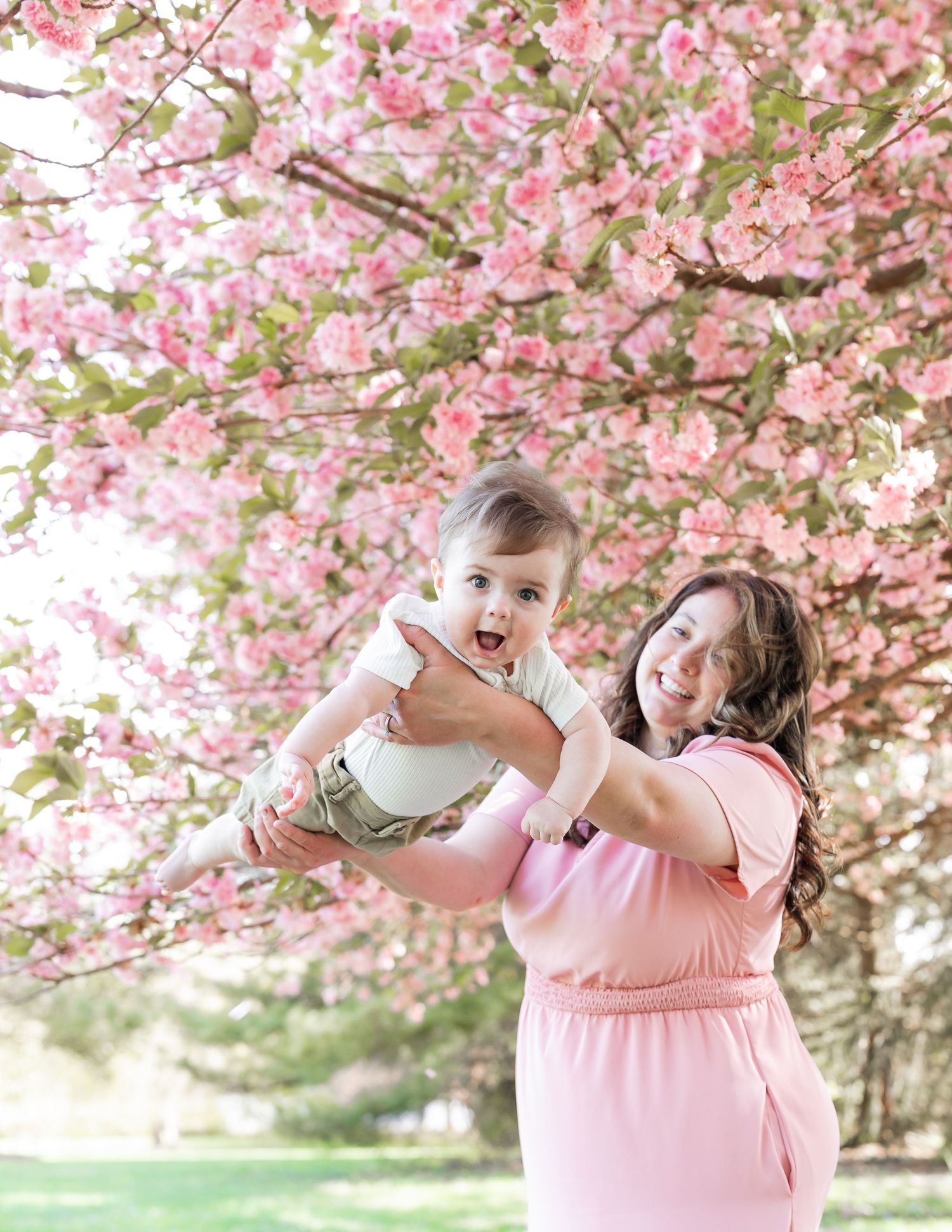 Playful interactions beneath pink cherry blossom trees on a sunny spring day.