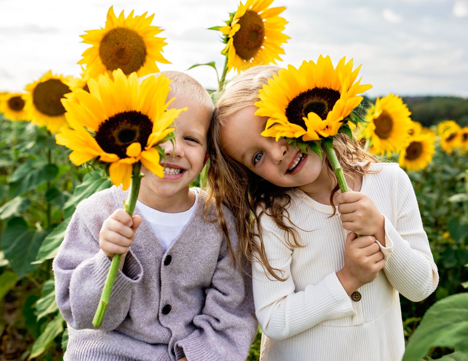A series of candid moments captured in a vibrant sunflower field on a sunny summer day.