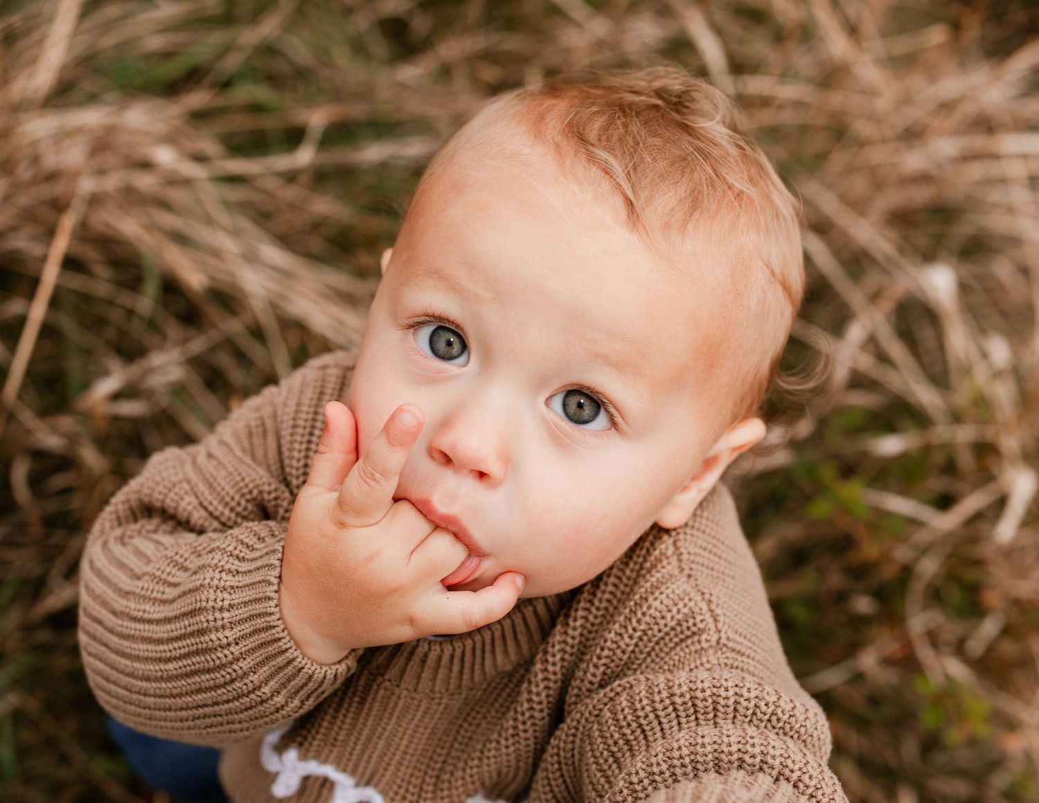A toddler in a brown knit sweater plays and makes expressive faces in a series of connected photos.