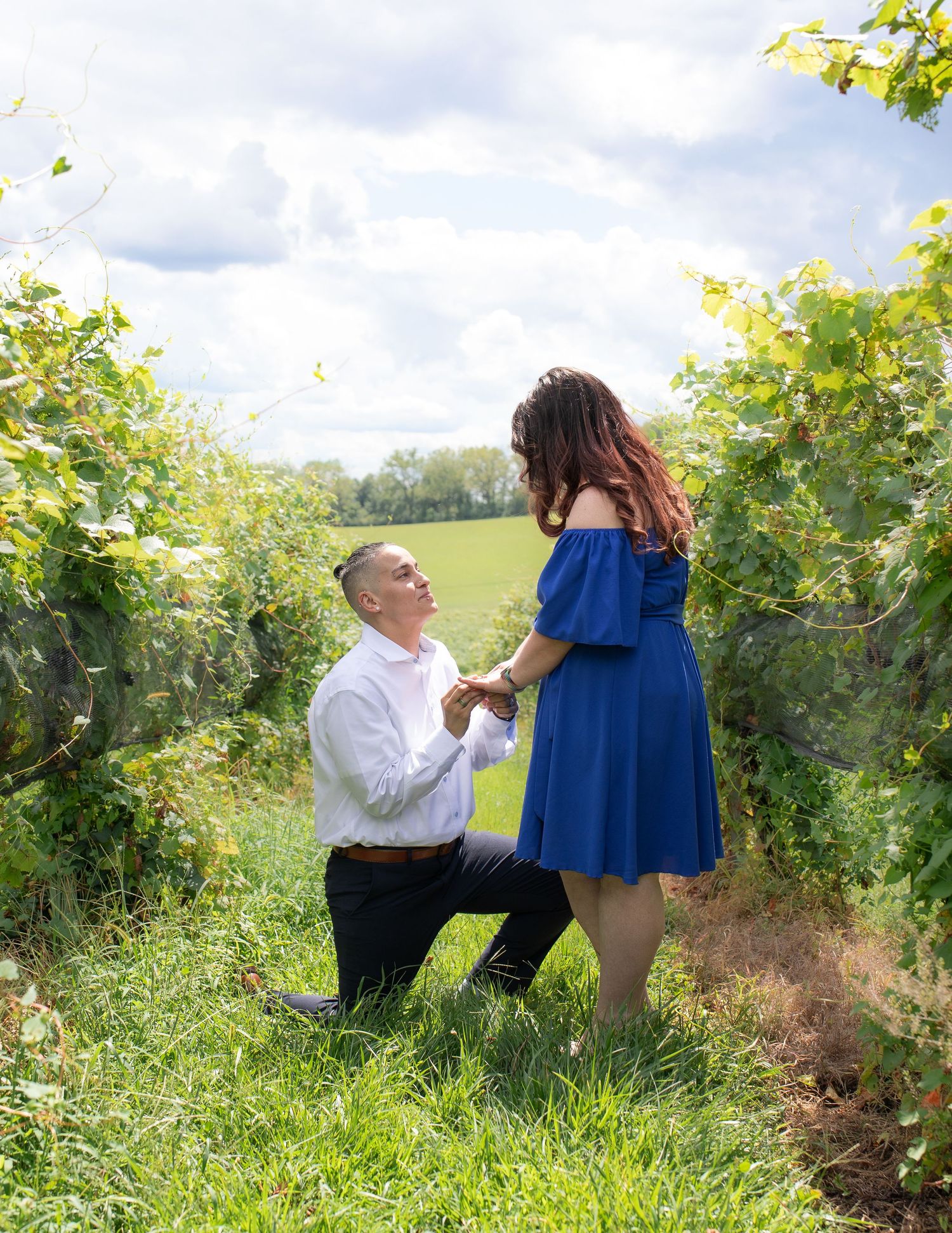 Romantic proposal scene in a lush vineyard on a sunny day.