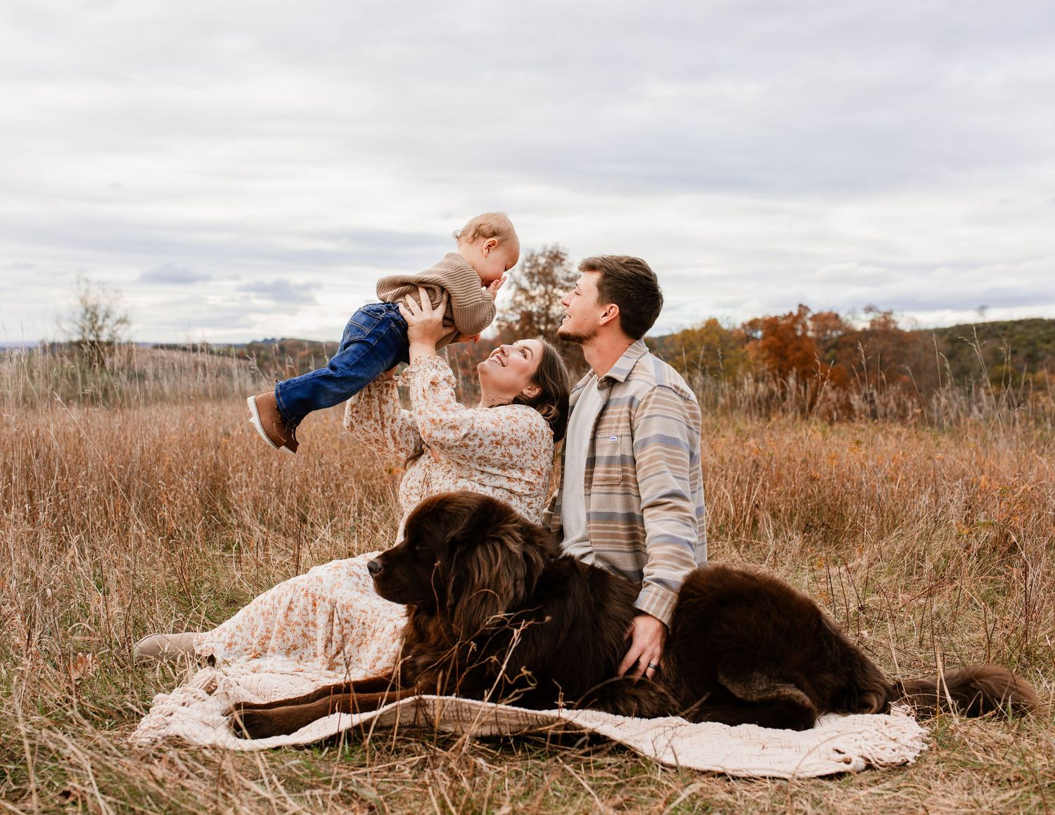 A couple in elegant attire shares romantic moments in a scenic autumn field with tall grass and natural light.