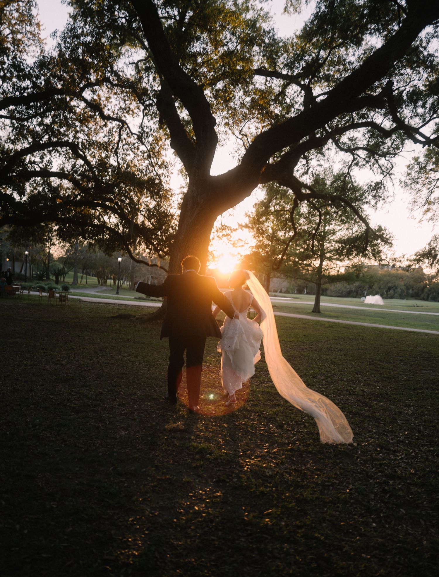 Bride and groom silhouetted under a large oak tree at golden sunset in a lush green park.