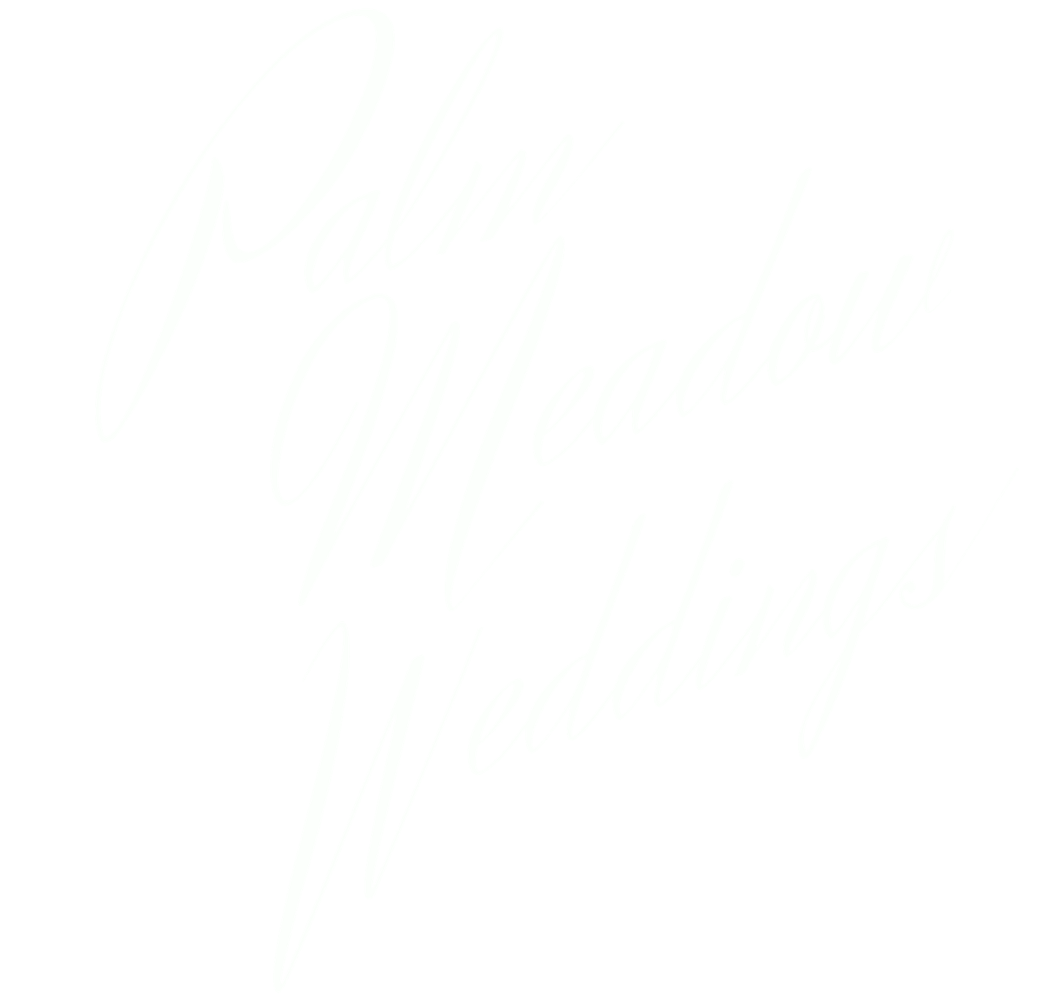Palm Meadow Wedding Photography New Orleans logo