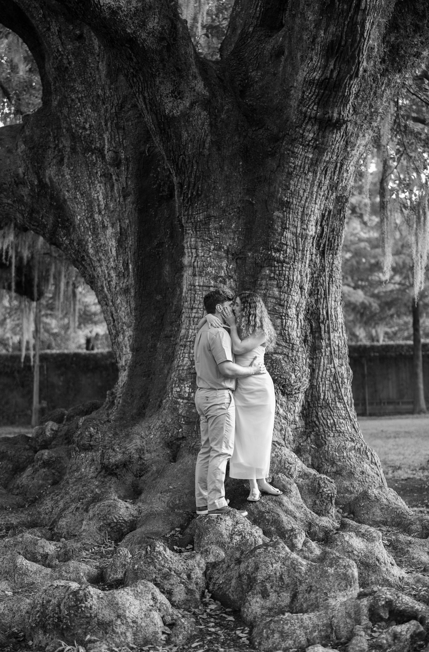 Black and white photo of a couple embracing and kissing against a massive ancient tree with sprawling roots.