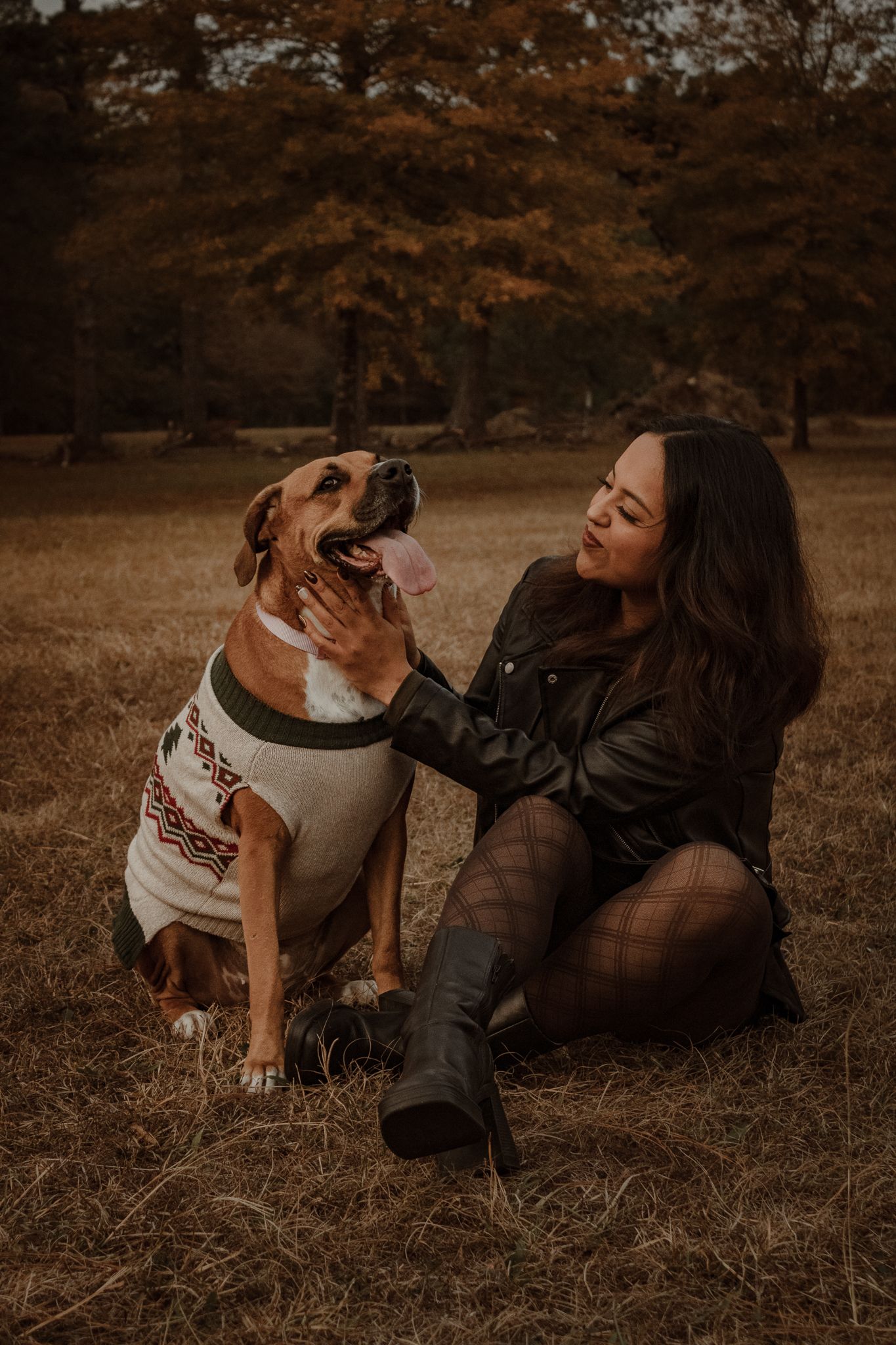 A person lies in autumn grass playing affectionately with their brown and white dog in warm sepia tones.