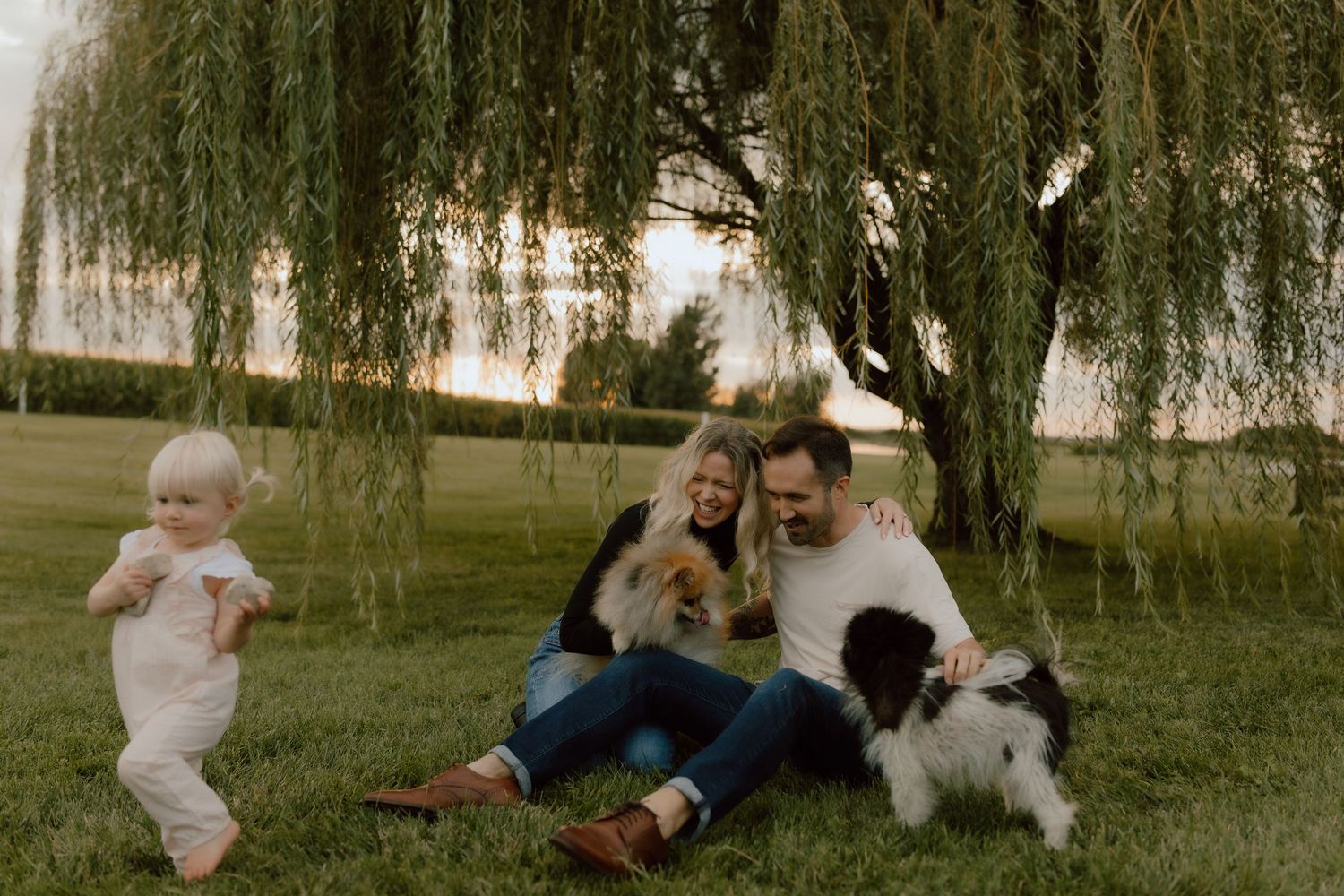 Family relaxing together under a weeping willow tree on a sunny day.