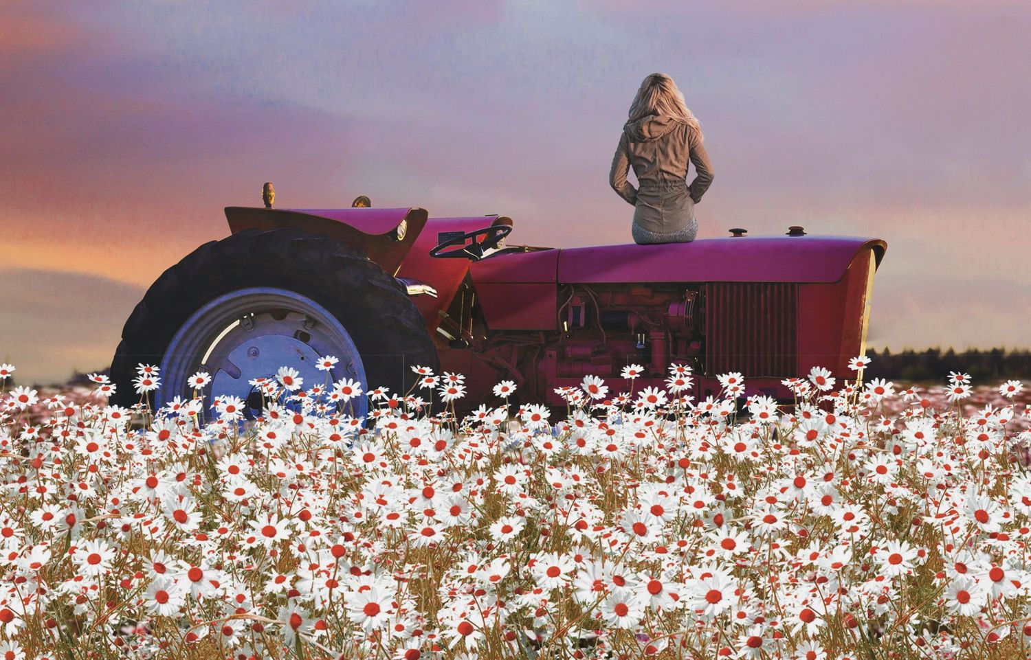 A girl sits with her back to the viewer on a red tractor in a field of daisies - THE DAWN Fund