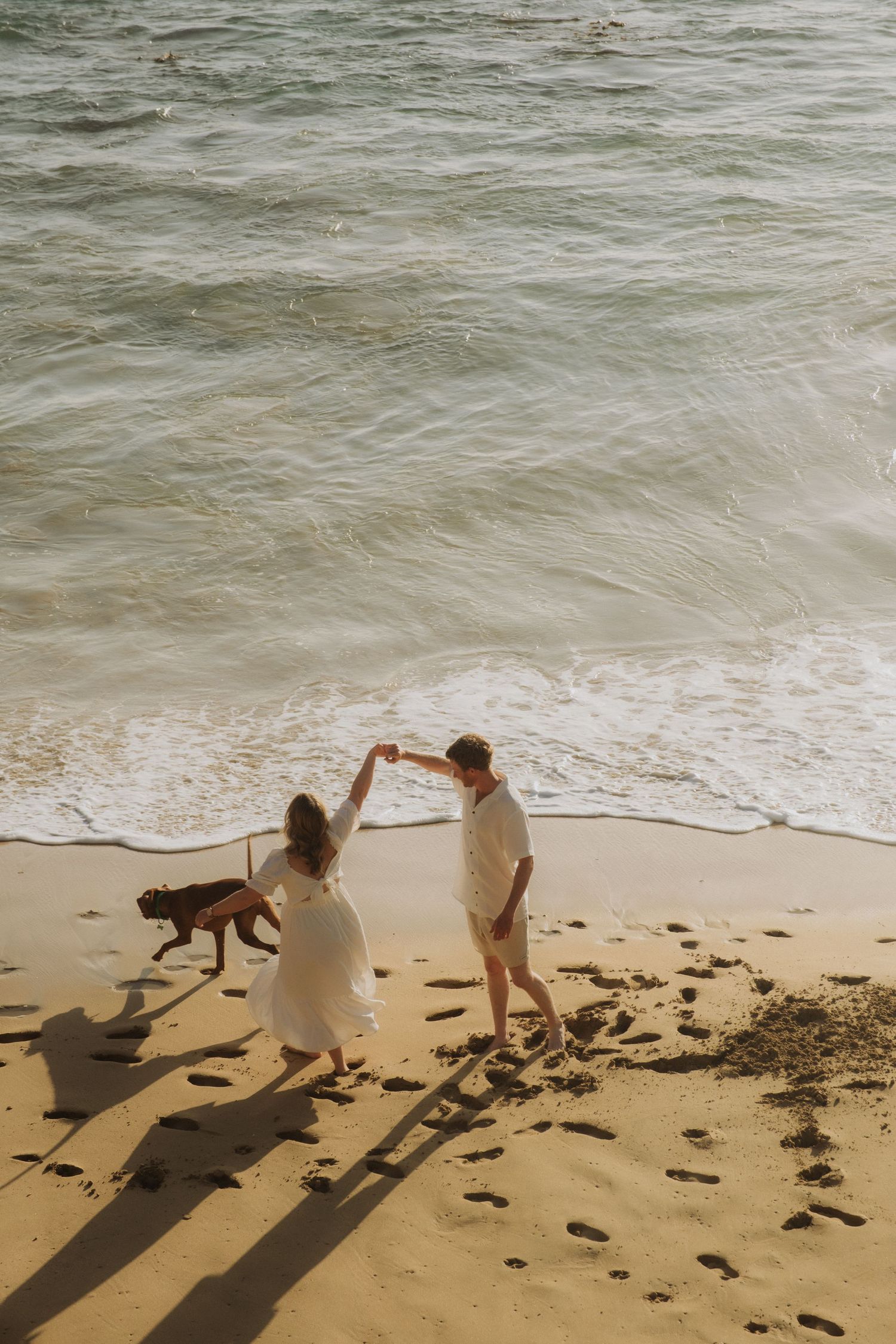 Couple dancing joyfully on a sunny beach shoreline with a dog nearby and ocean waves behind them, near Warrnambool beach.