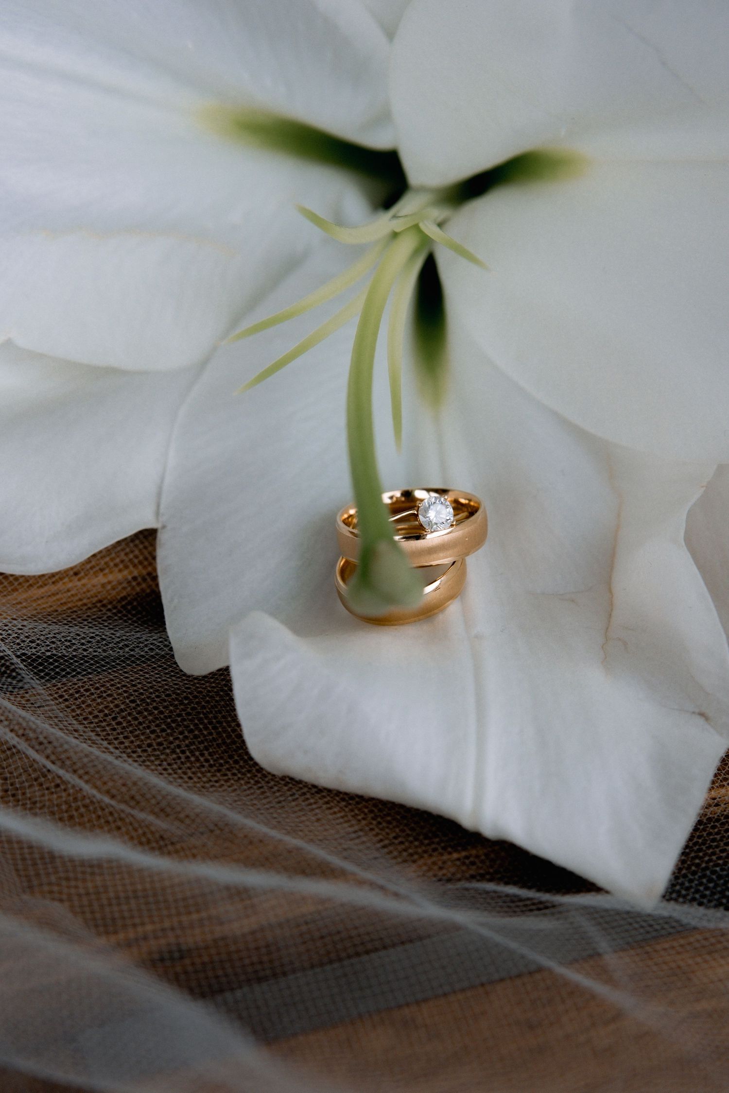 Gold wedding bands with diamond ring displayed on white lily petals with sheer veil backdrop.
