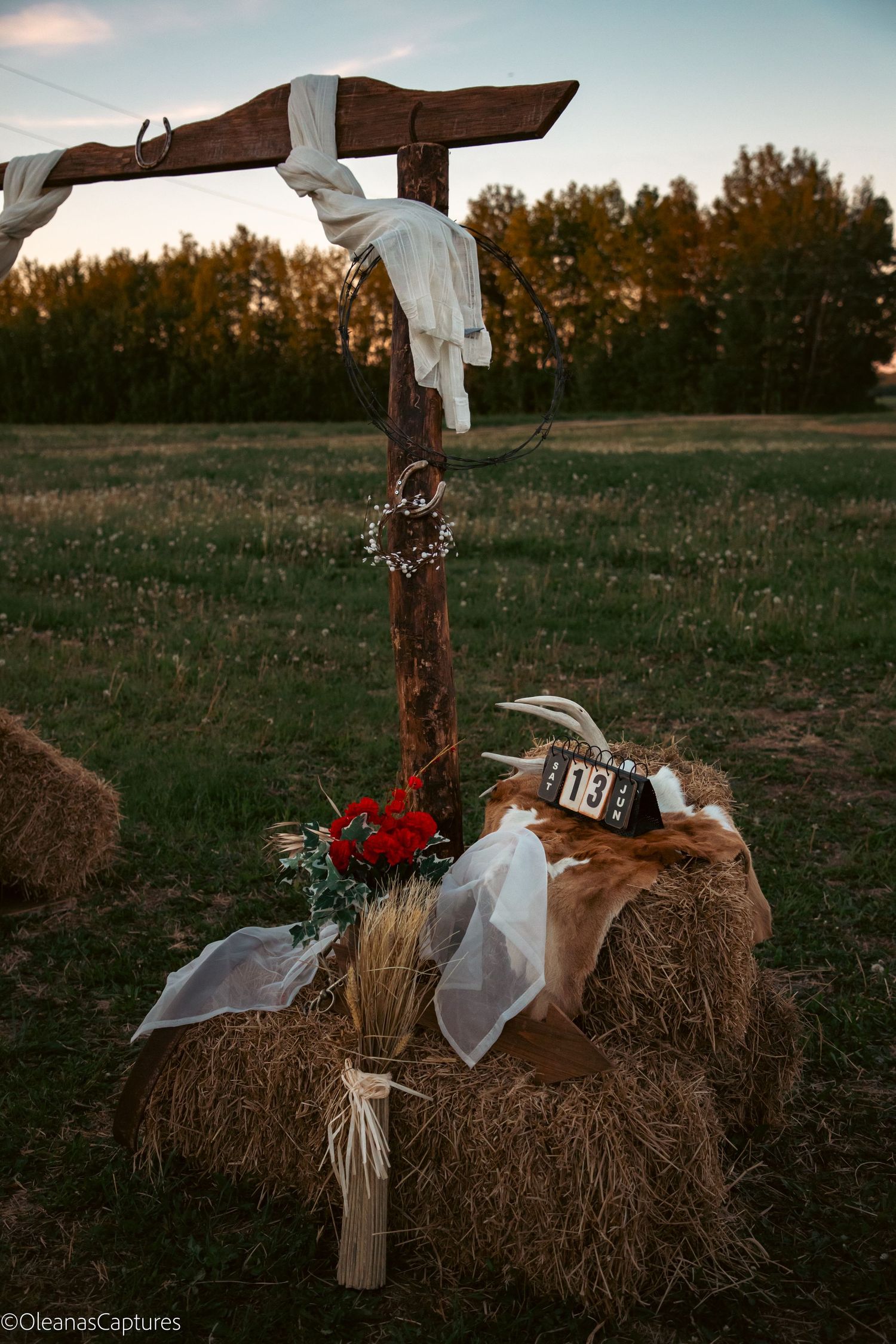 Close-up of rustic hay bale wedding altar with red roses, animal hide, and number 13 sign at golden hour.