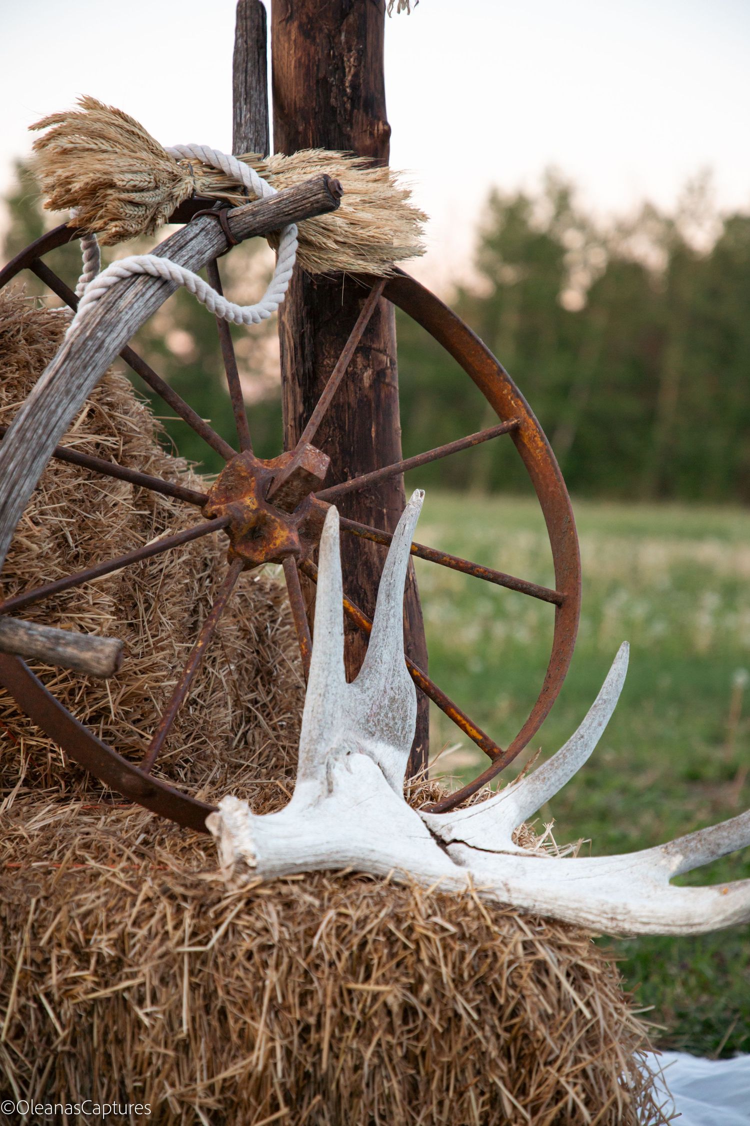 A vintage wagon wheel, moose antlers, and rope rest against a hay bale in a field.
