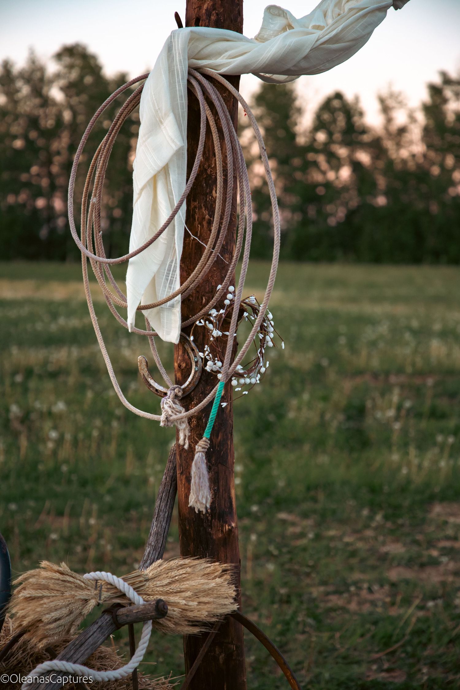A lasso and decorative rope accessories hang on a rustic wooden post in a green field.