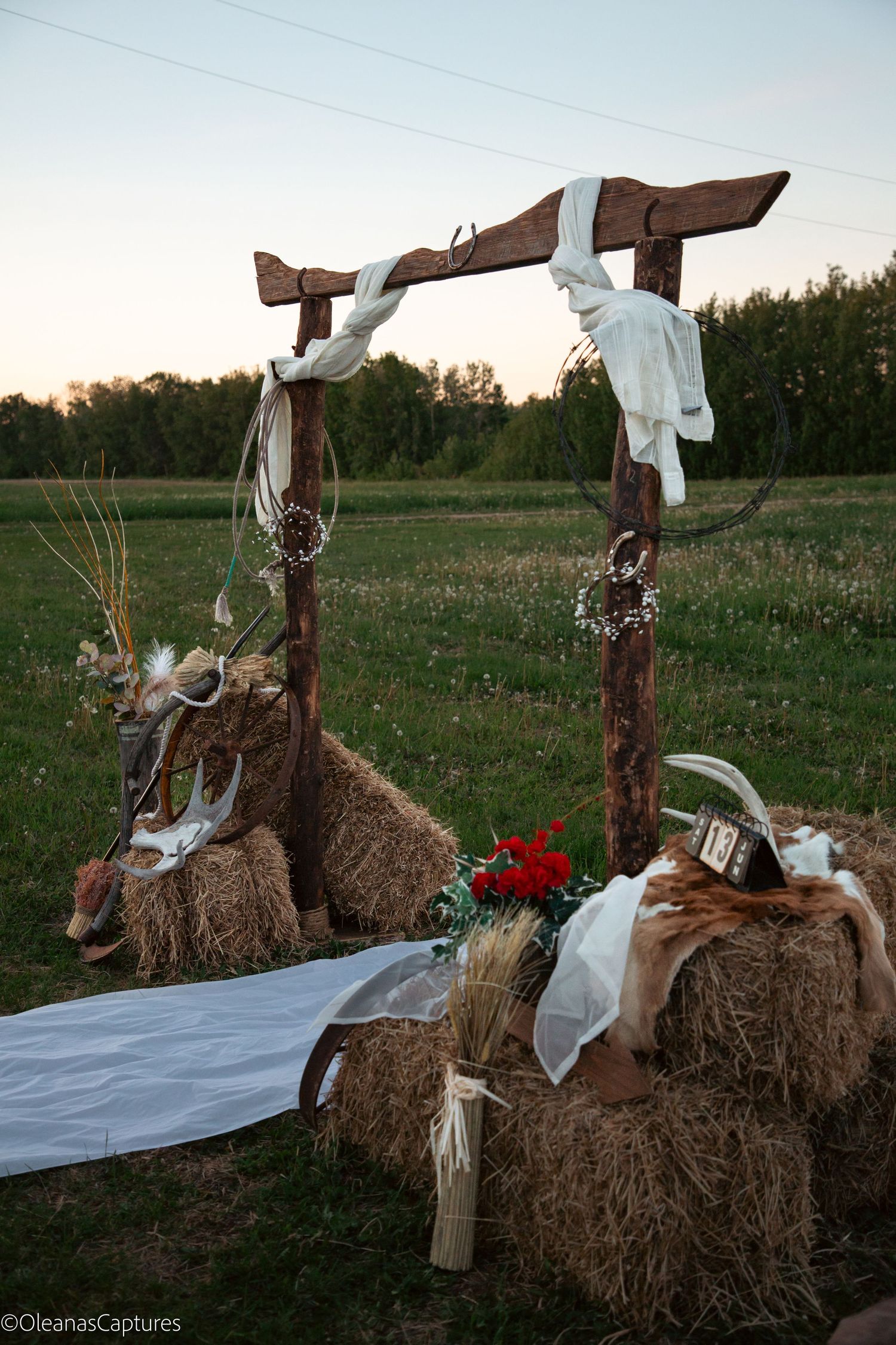 Rustic wooden wedding arch with hay bales, red roses, white fabric, and barbed wire wreaths at sunset in a meadow.