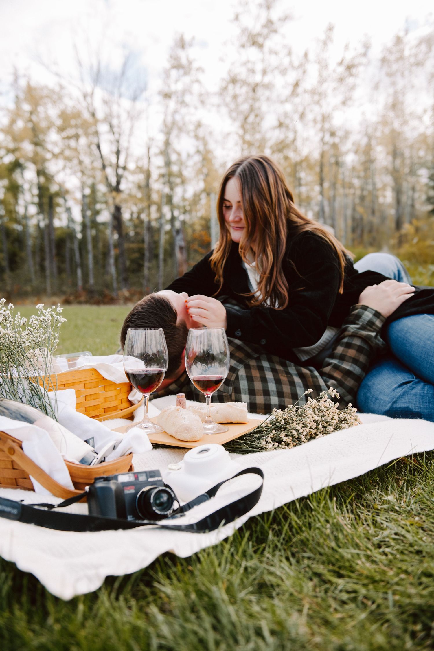 fall picnic engagement pictures