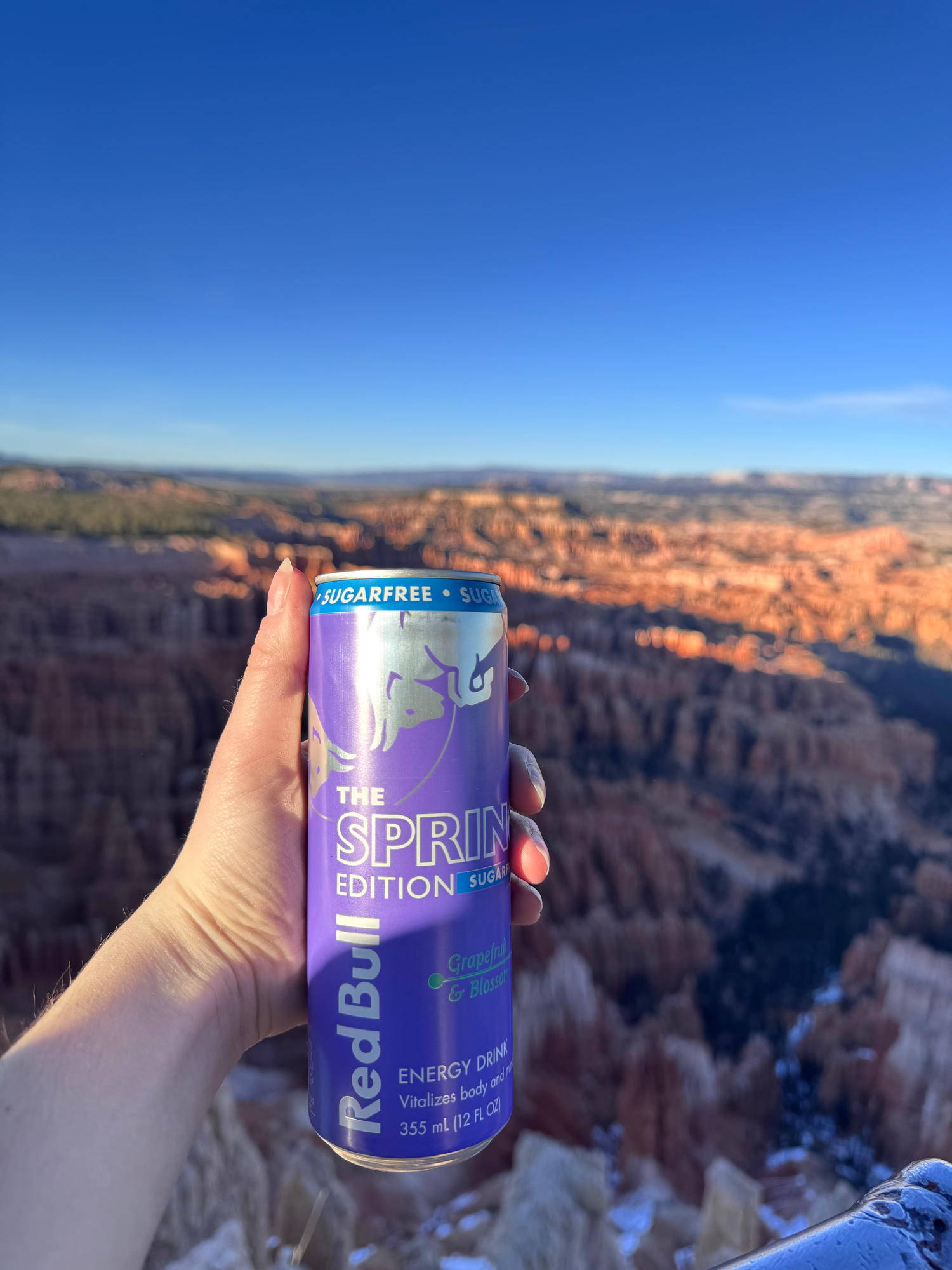hand holding a purple red bull can with red canyons in background