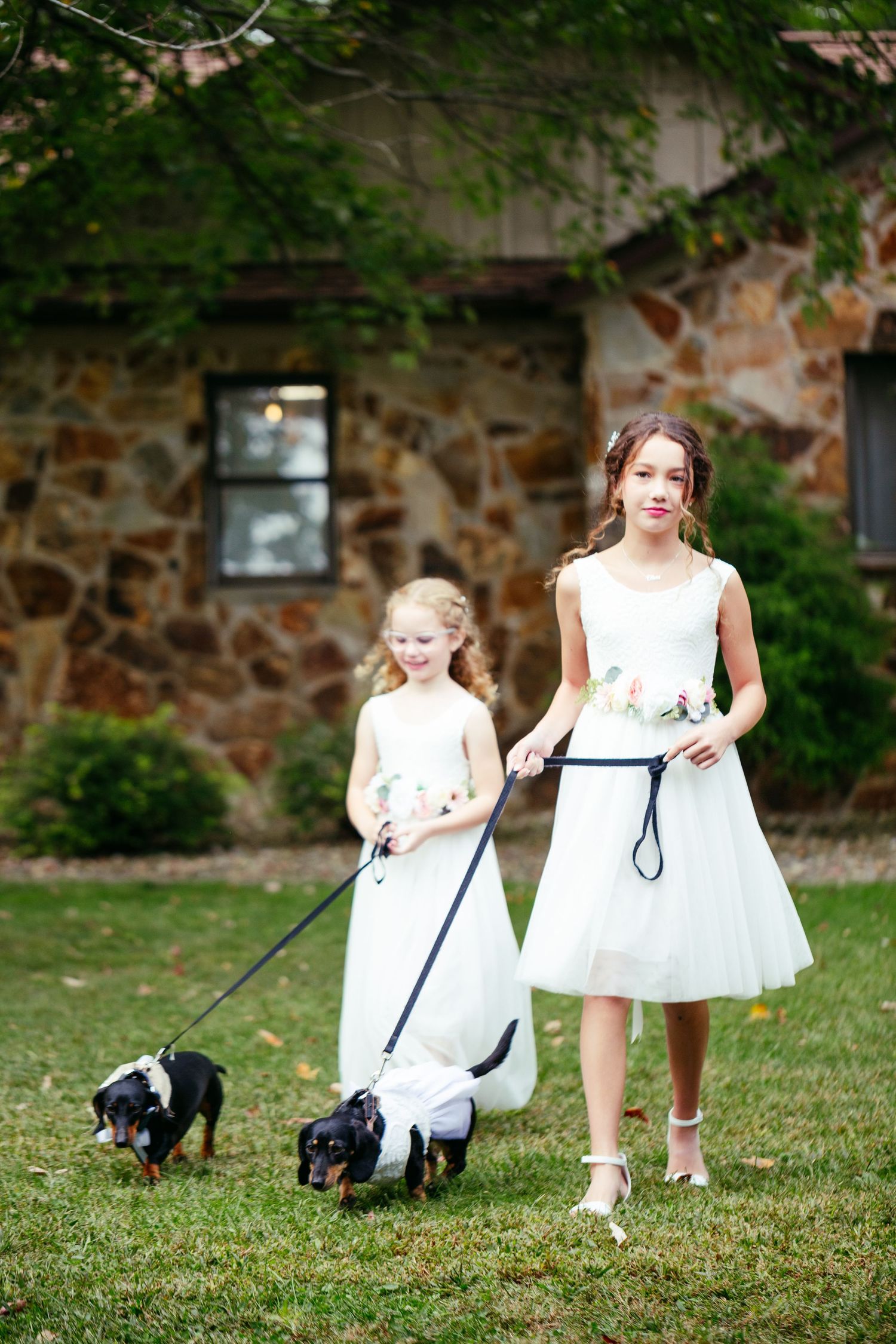 flower girls in white dresses walking weiner dogs down aisle