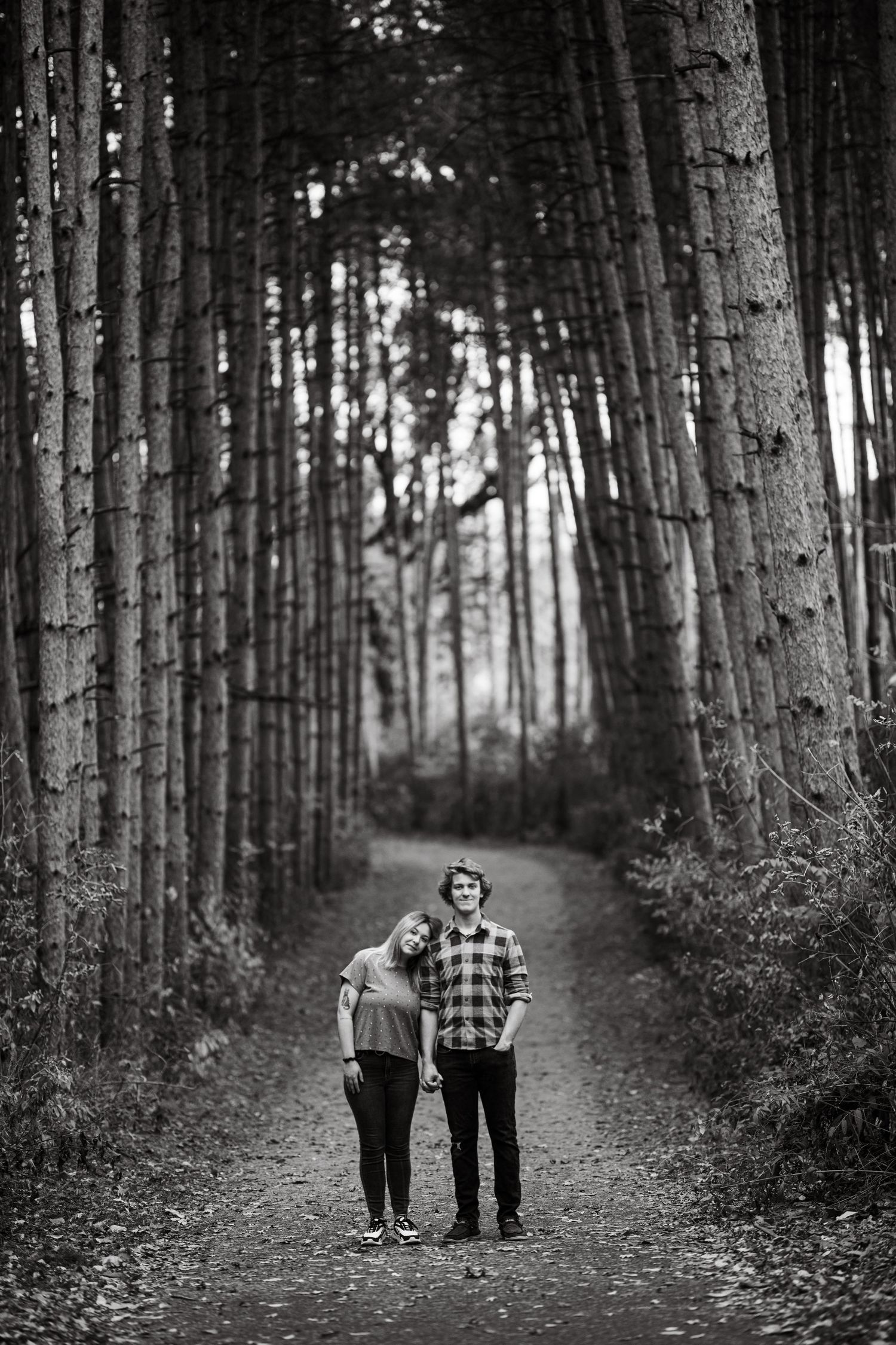 fall engagement photos minneapolis